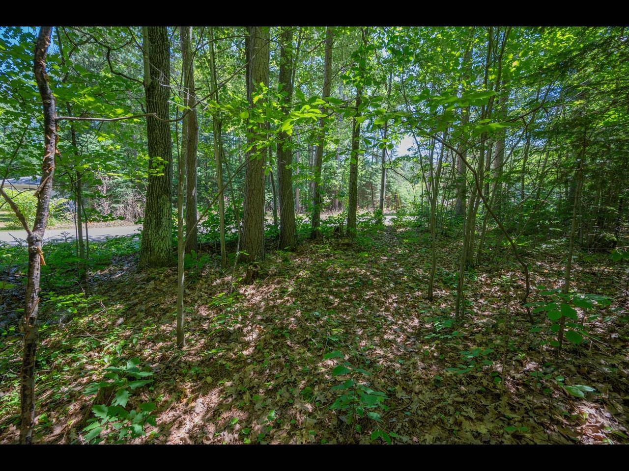 Land O' Lakes, WI 54540,Lots 1&2 CARLSON RD