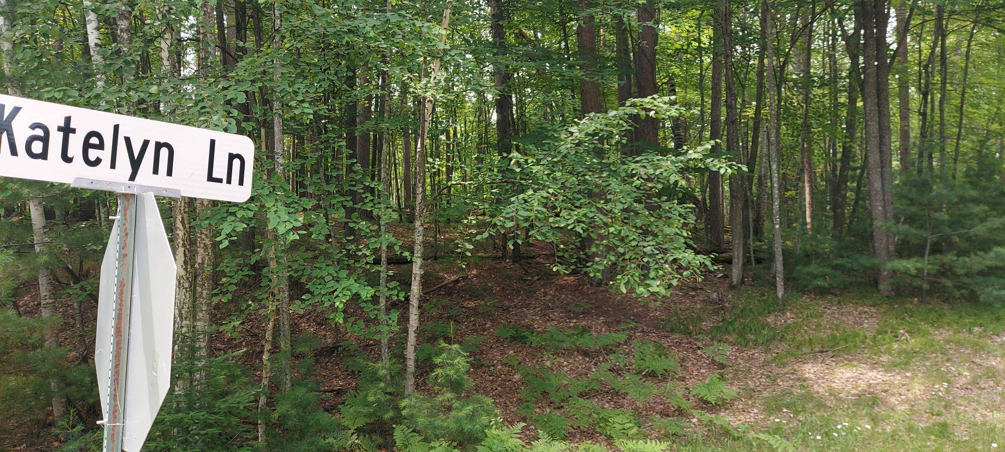 Rhinelander, WI 54501,LOT 2 KATELYN LN