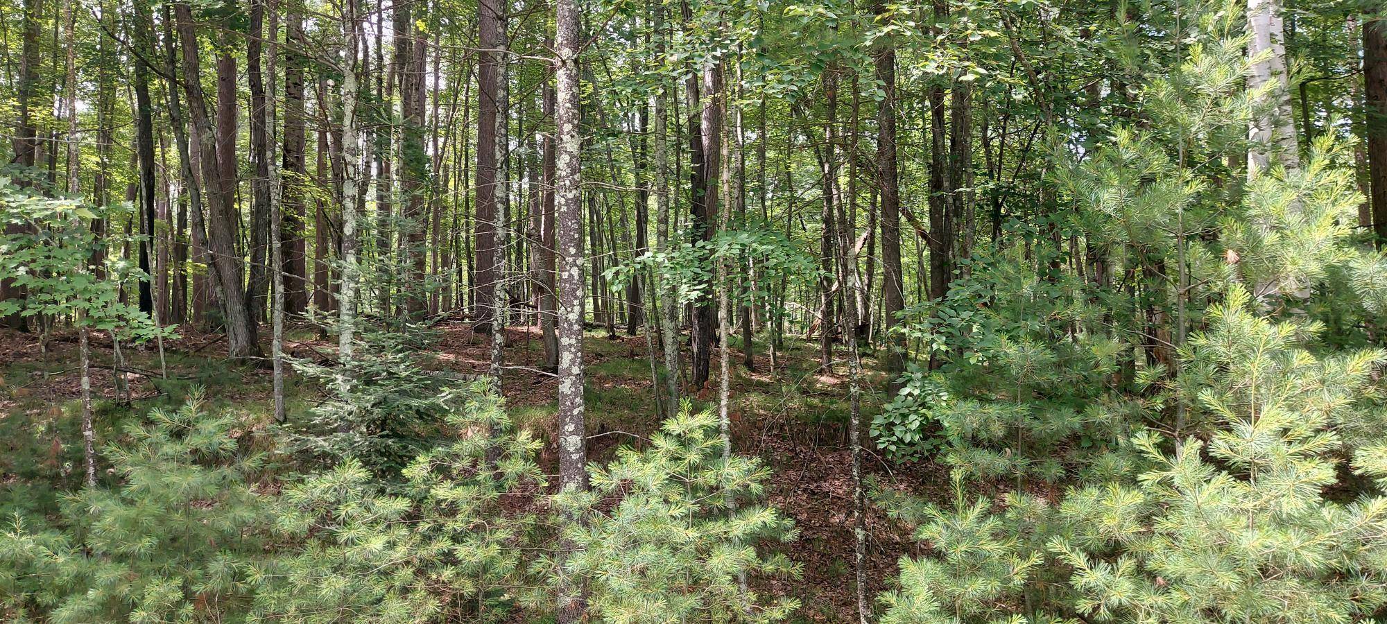 Rhinelander, WI 54501,LOT 2 KATELYN LN