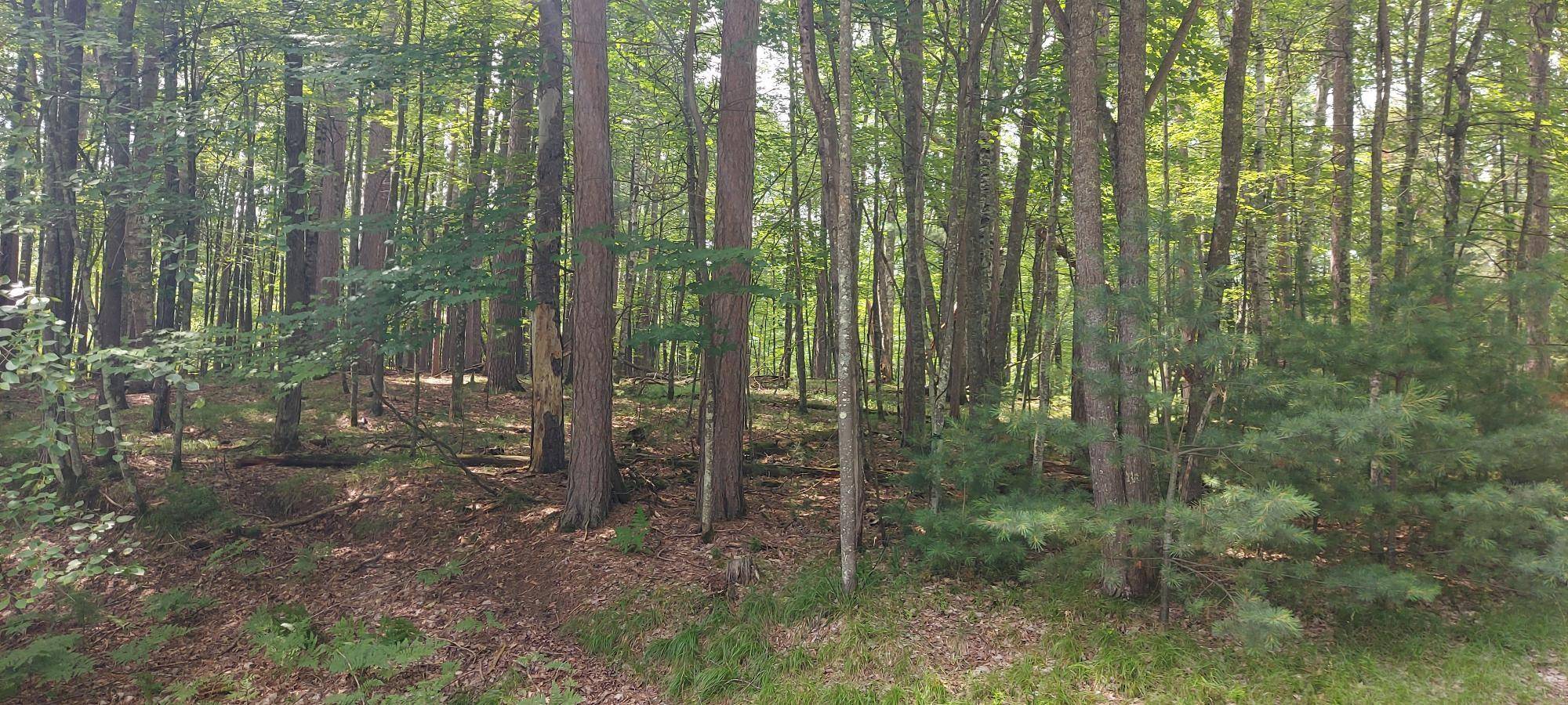 Rhinelander, WI 54501,LOT 2 KATELYN LN