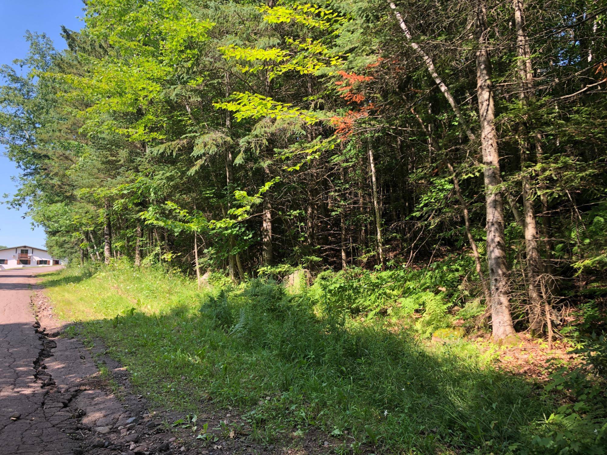 Upson, WI 54565,Outlot 1 SKYE DR