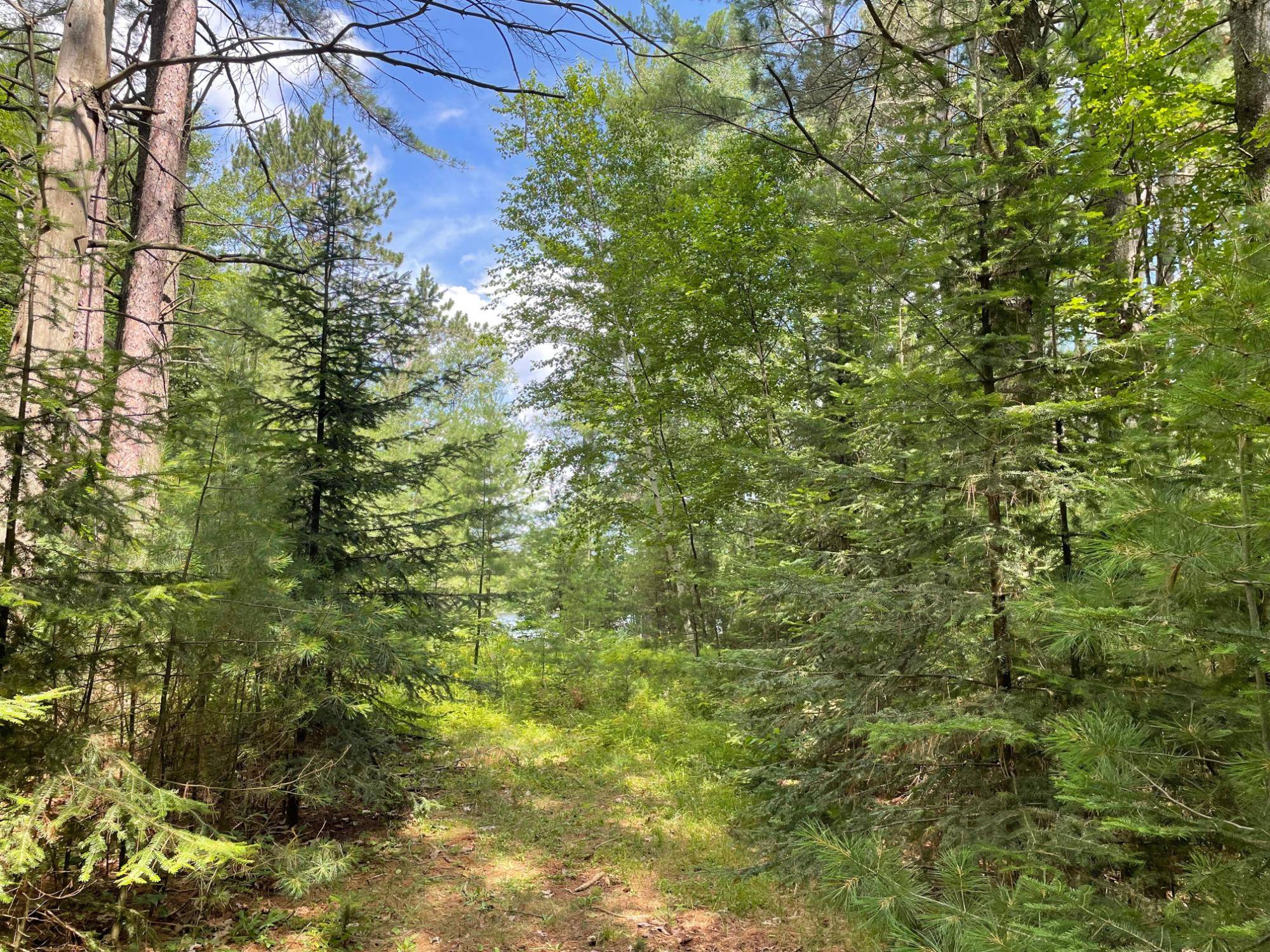 Eagle River, WI 54521,1.6AC ON CARLSON LN