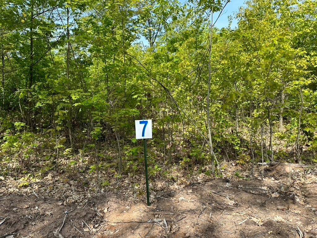 Land O Lakes, WI 54540,Lot 7 CTH B