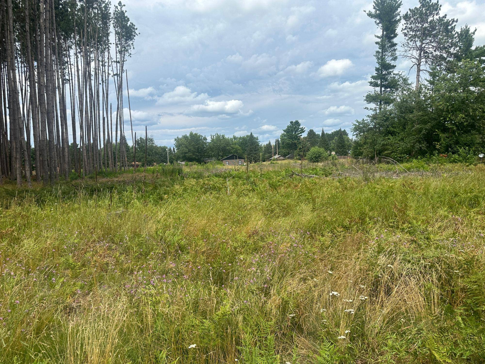 Eagle River, WI 54521,ON ILLINOIS RD