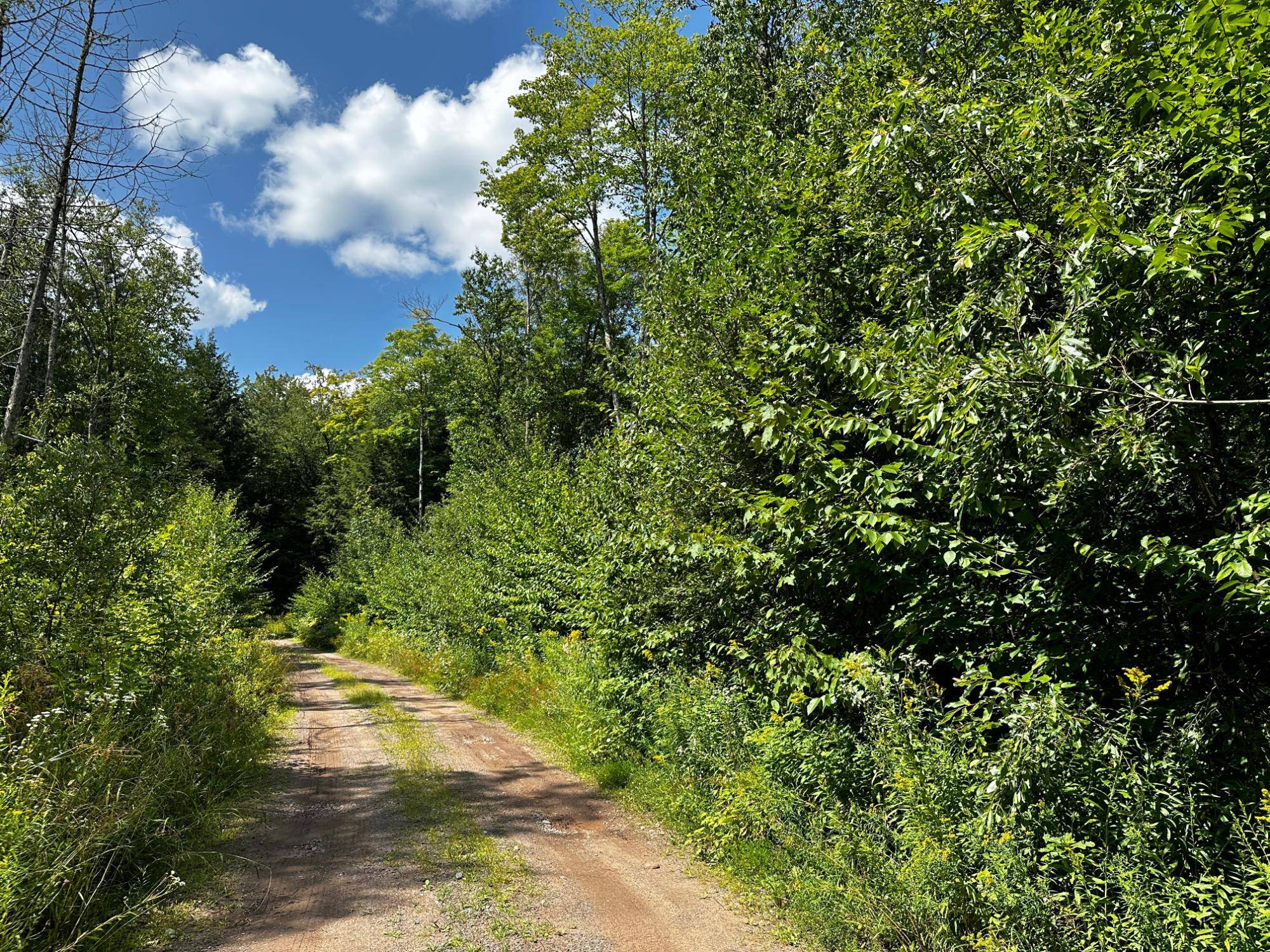 Watersmeet, MI 49969,20840 HIDEAWAY TR #Lot 4