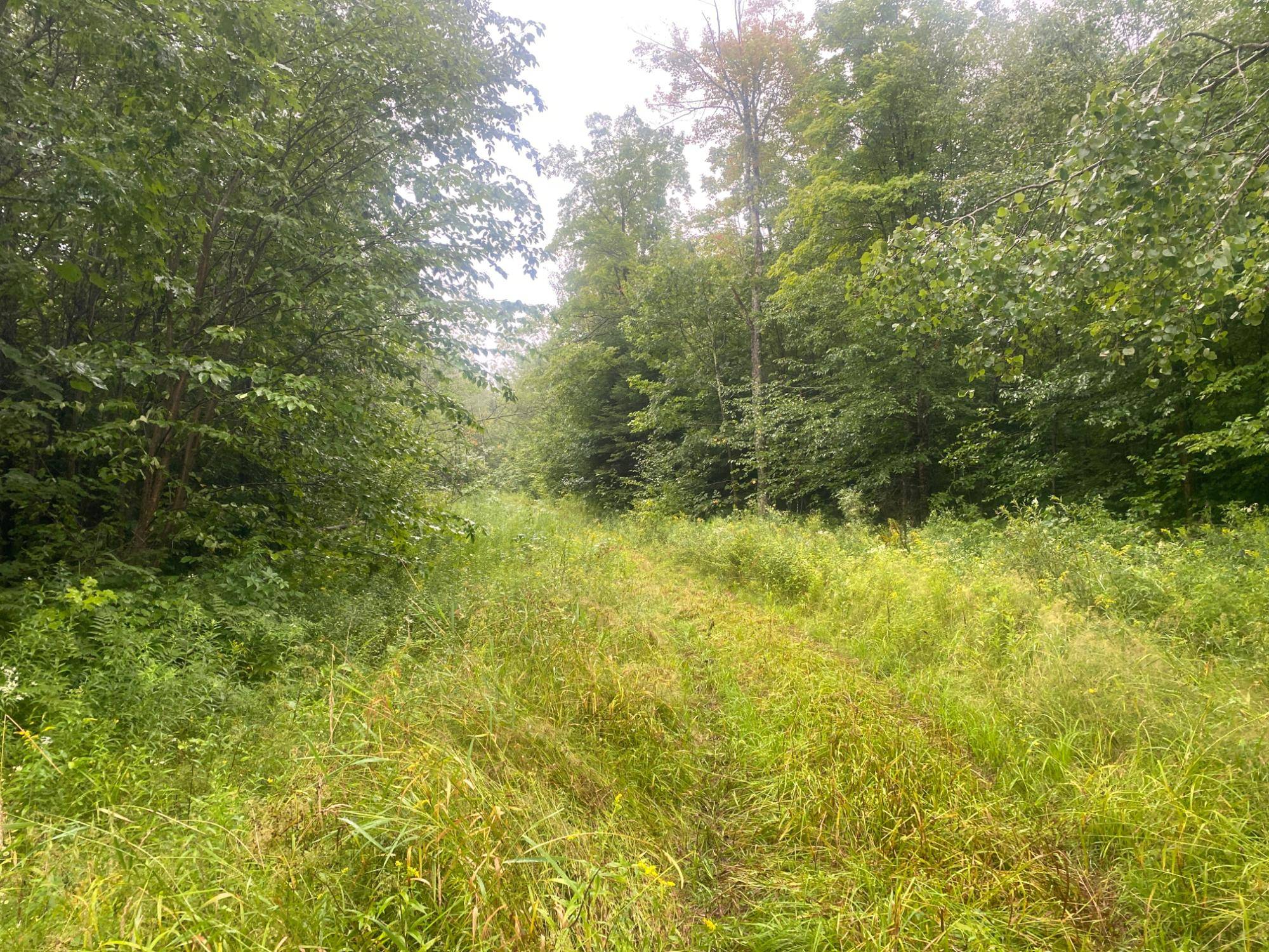 Catawba, WI 54515,NEAR TIMBER RD