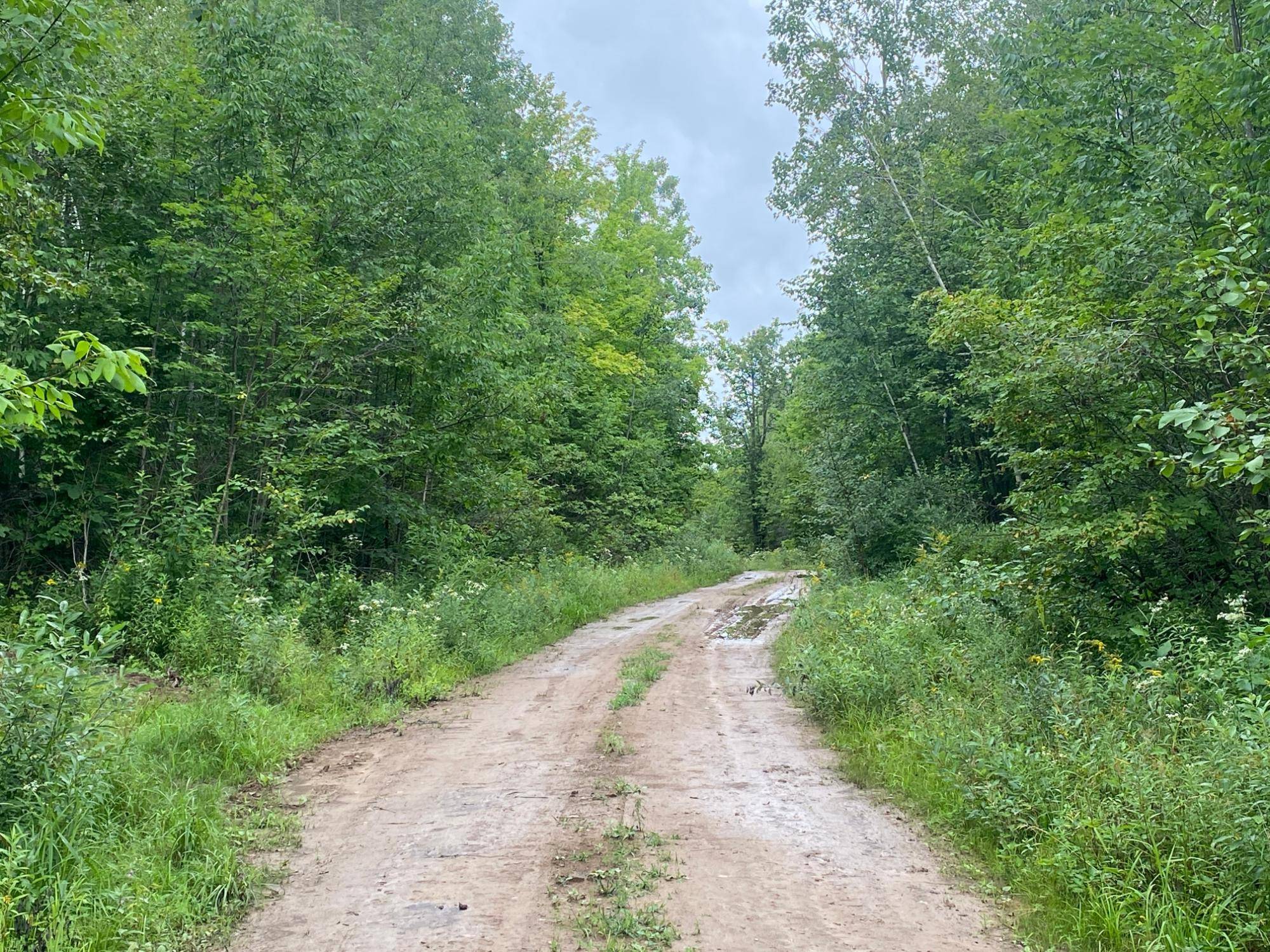 Winter, WI 54896,ON OLD HWY 70