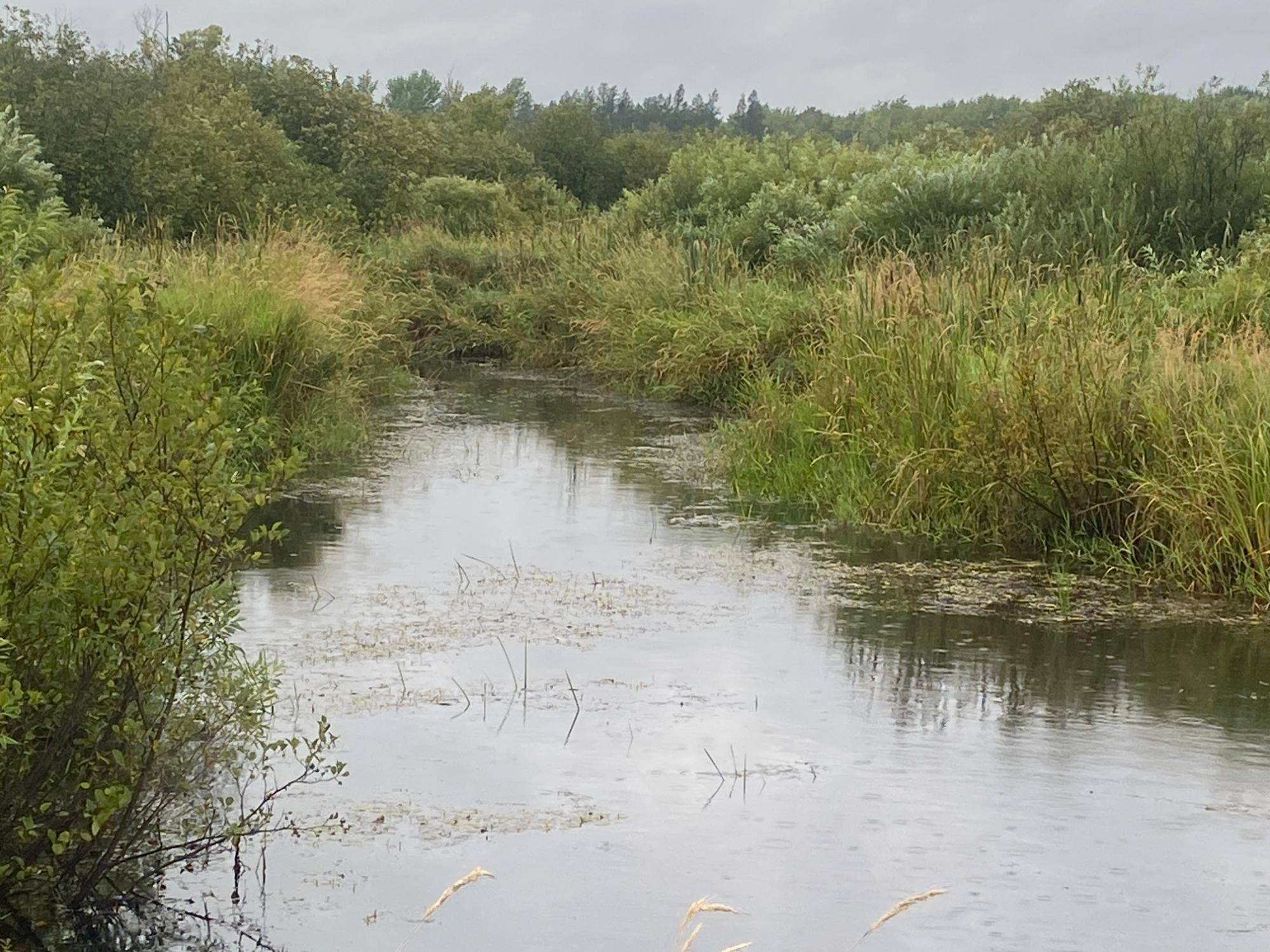 Ogema, WI 54459,ON SHAUGER RD