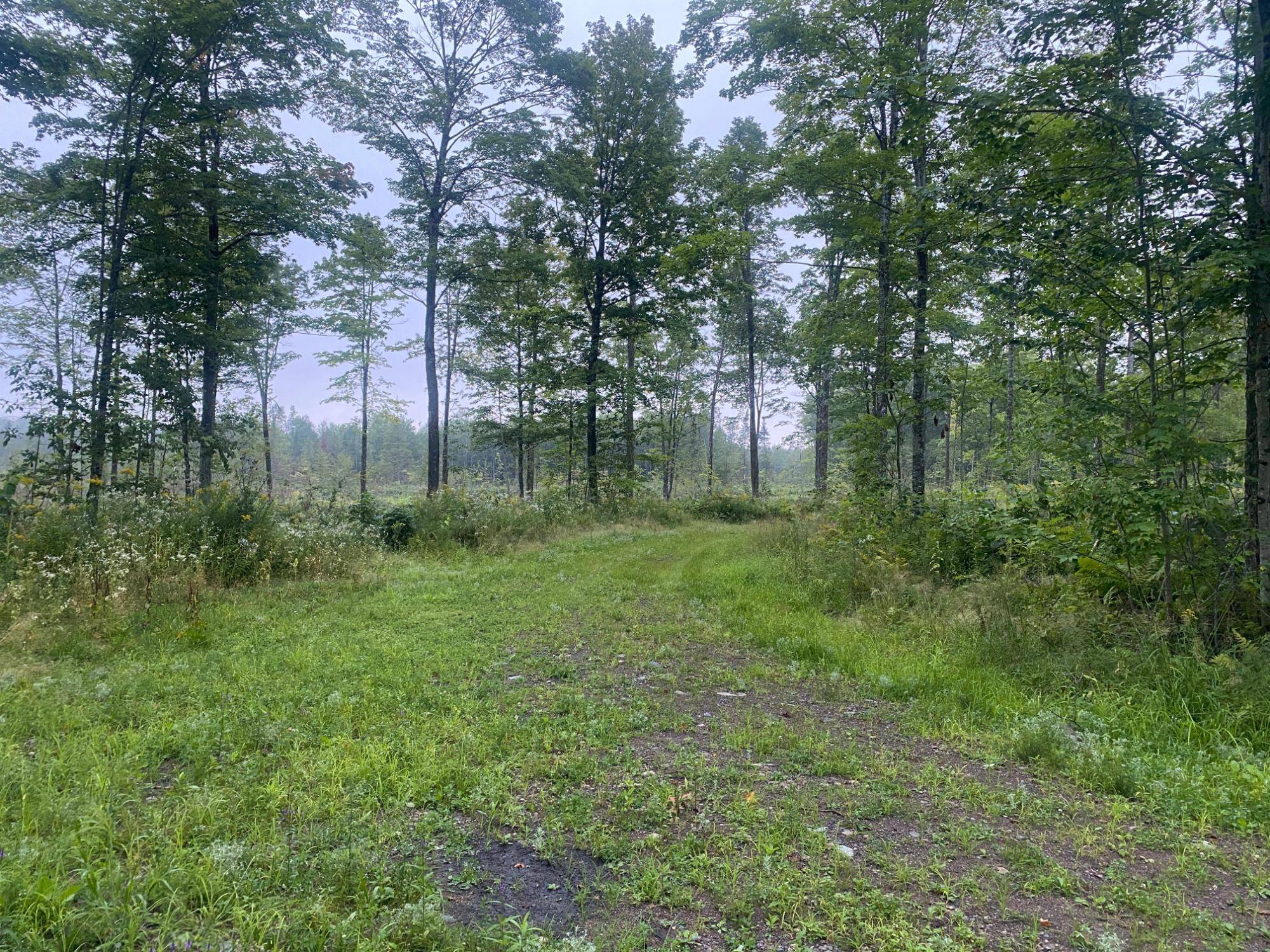 Draper, WI 54896,ON DOLAND RD