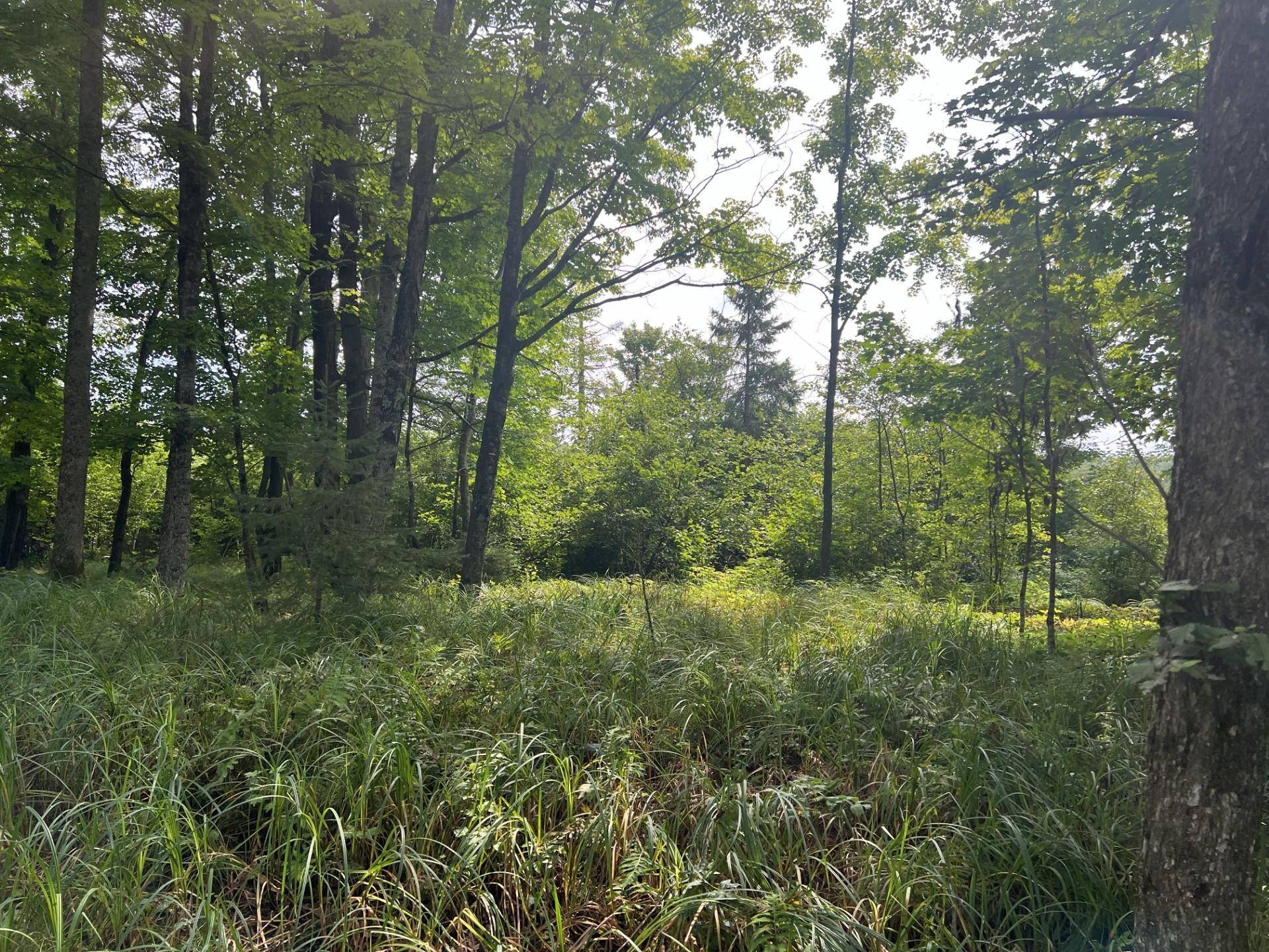 Iron River, MI 49935,TBD BRULE LAKE RD W