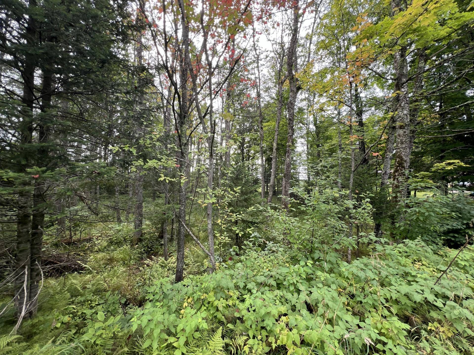 Iron River, MI 49935,TBD BRULE LAKE RD W