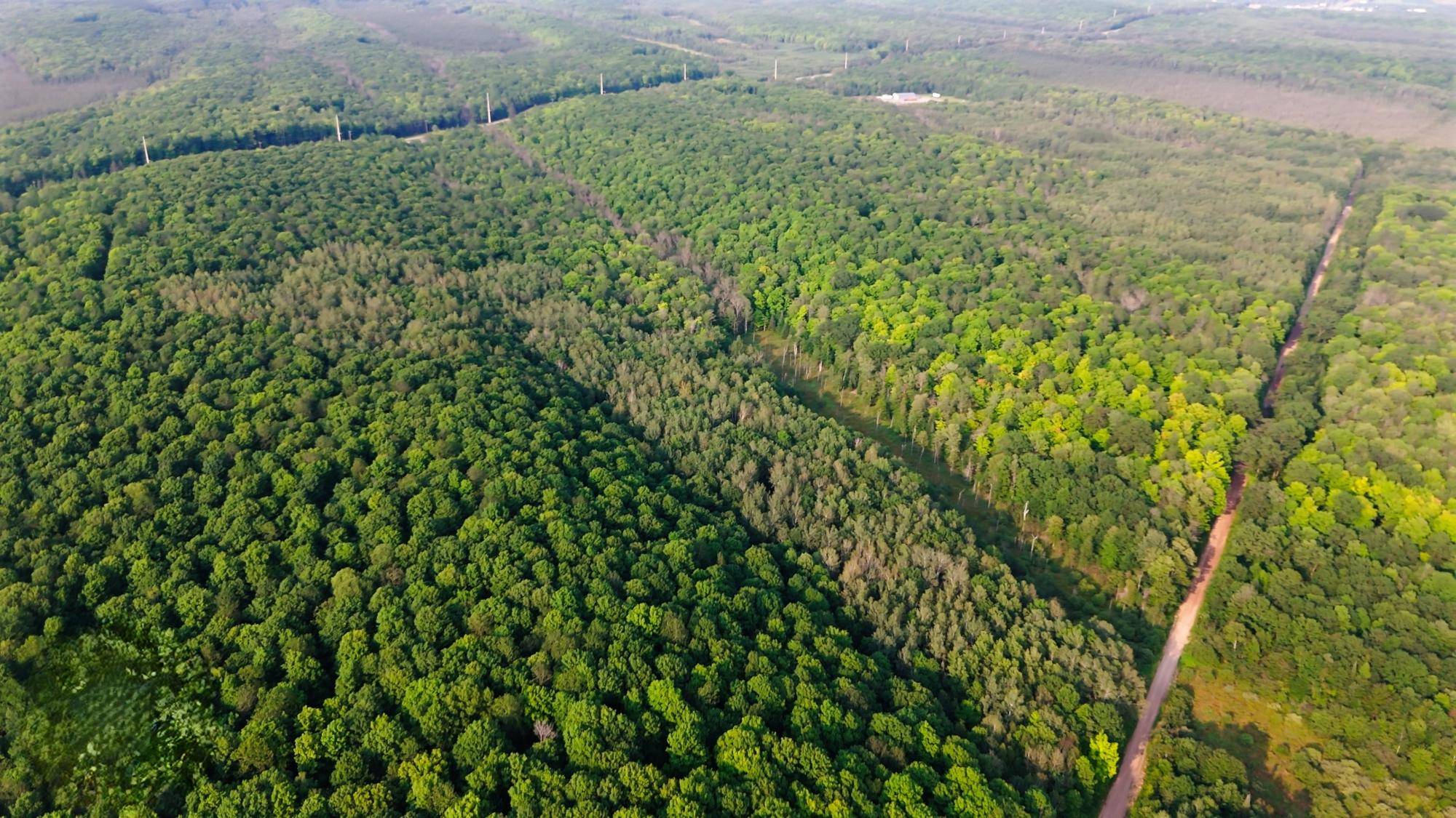 Crandon, WI 54520,Lot 5 TOWER RD