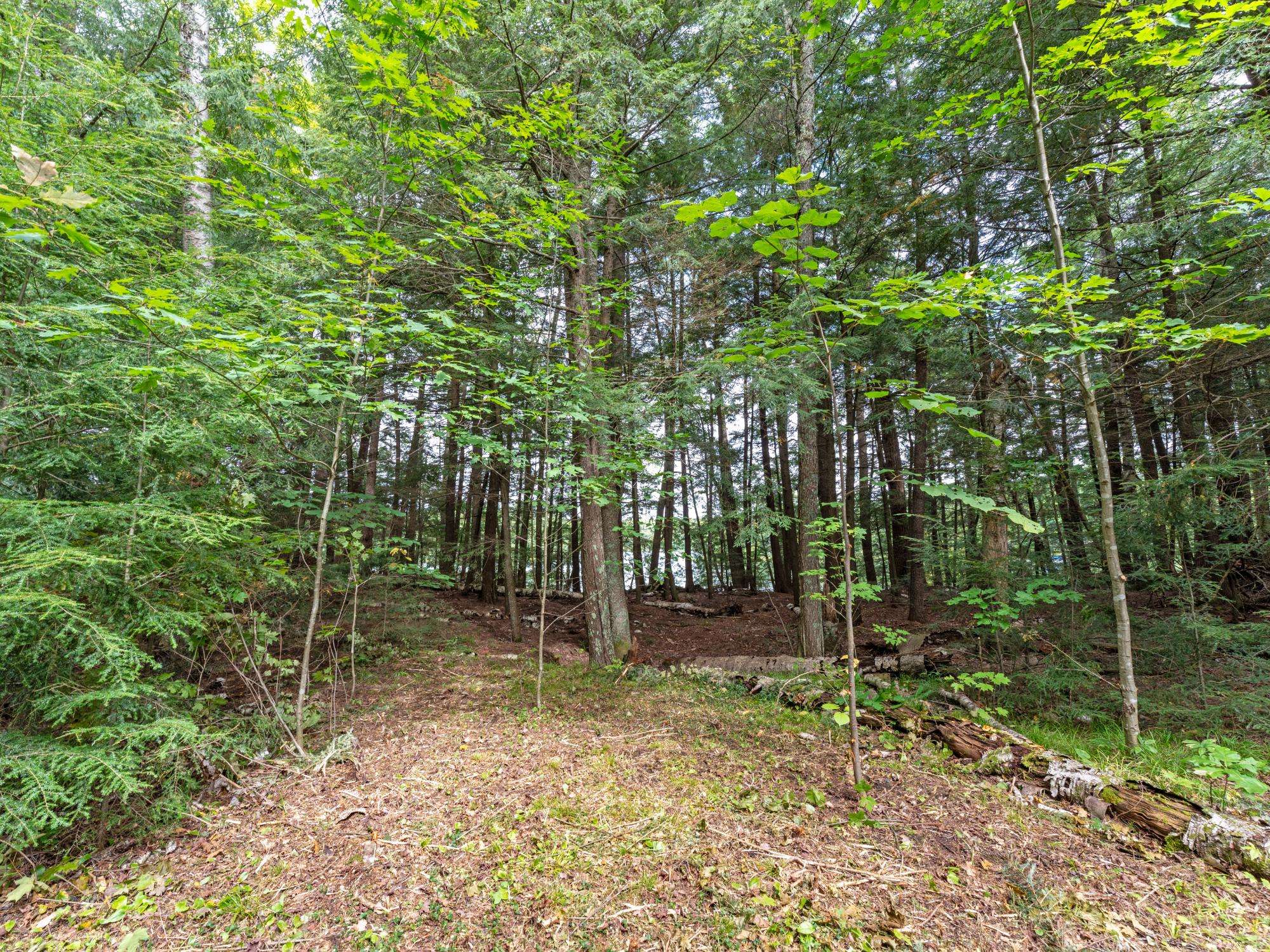 Lac Du Flambeau, WI 54538,Lot 4 LOON BAY TR