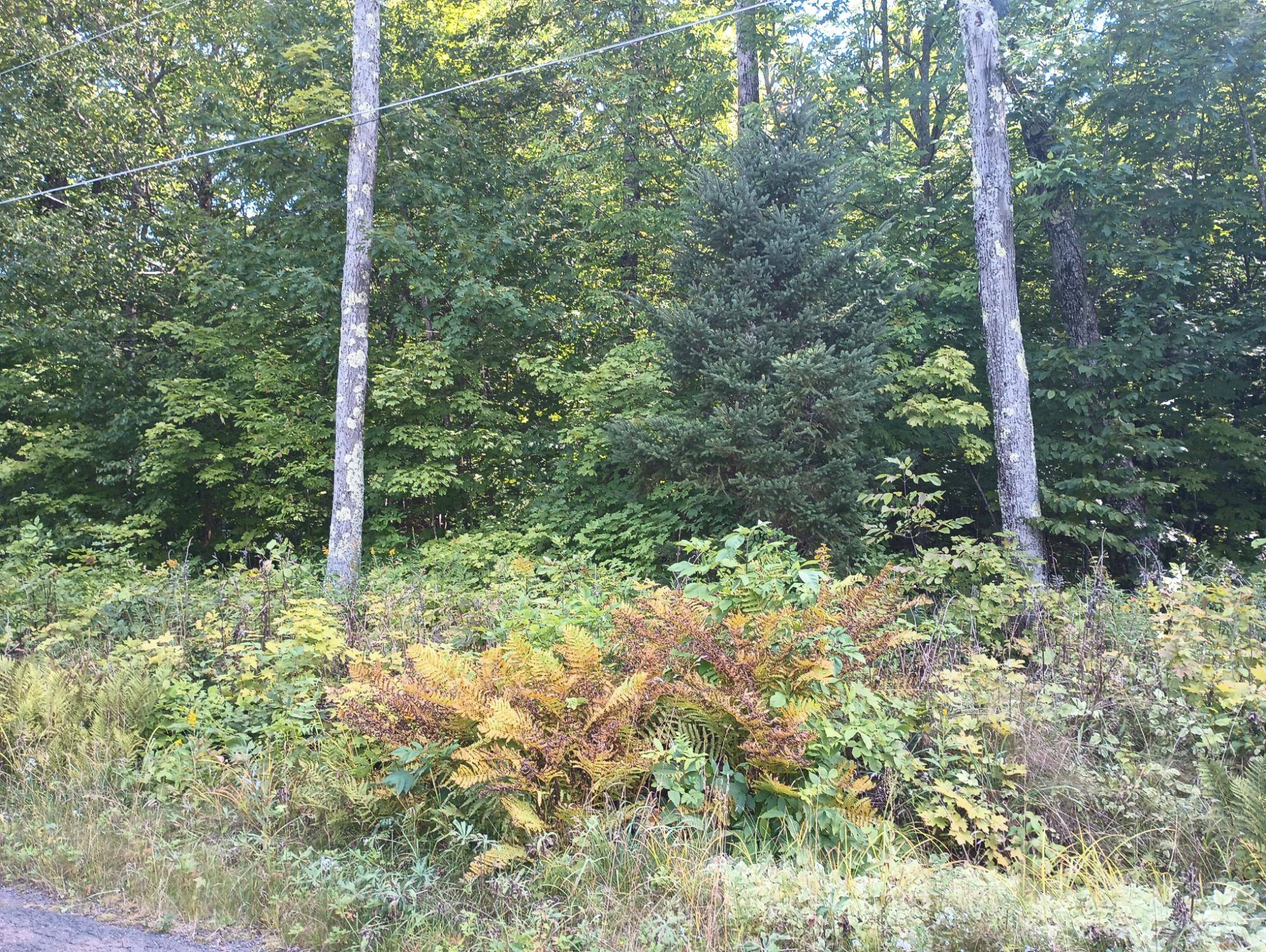 Montreal, WI 54550,Lot on NO 4 RD