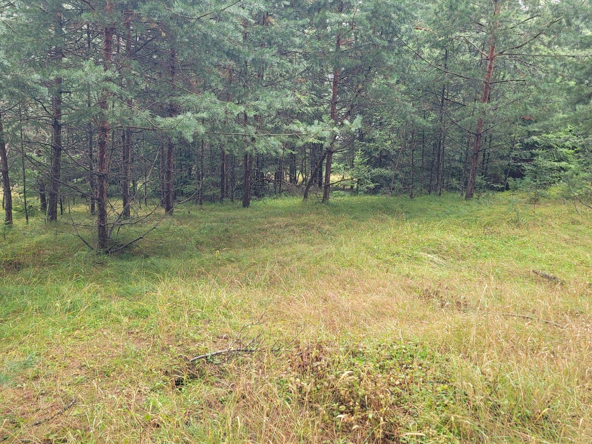 Eagle River, WI 54521,Lot #3 TIMBERING HAVEN DR