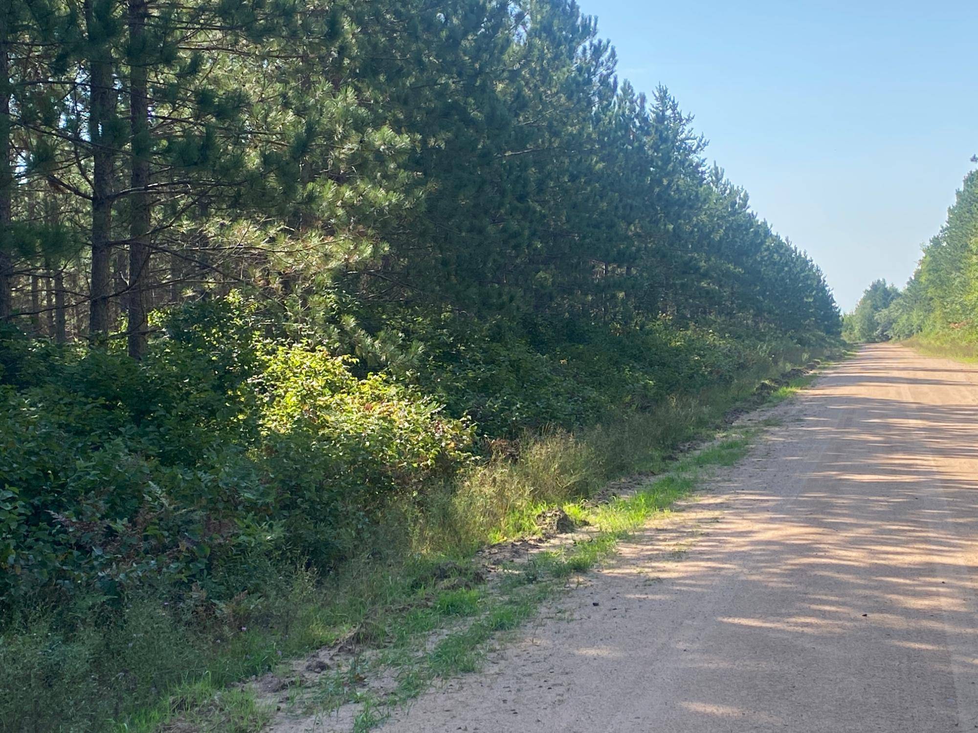 Barnes, WI 54873,ON HALL RD