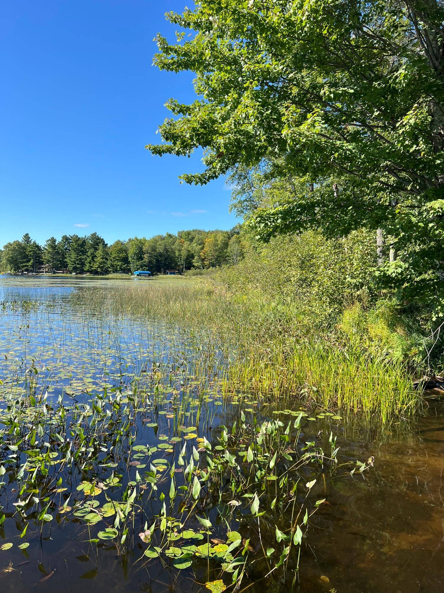 Minocqua, WI 54548,Off BOOTH LAKE RD