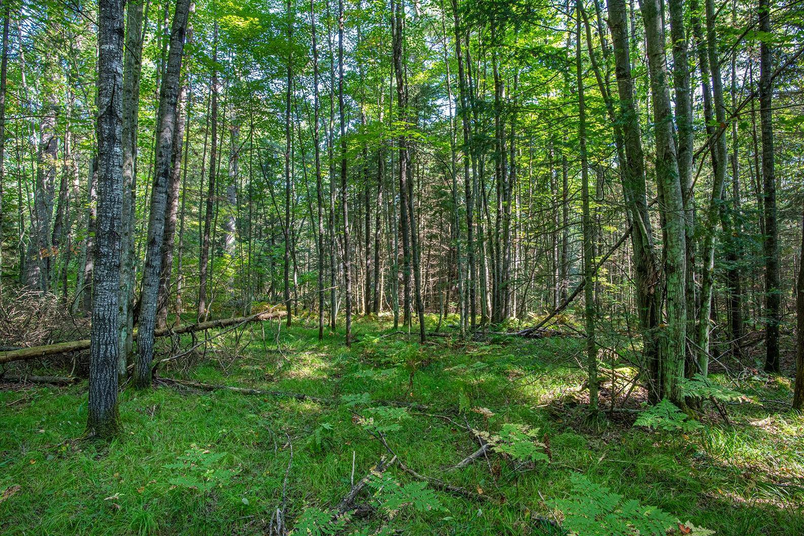 Eagle River, WI 54521,Off ELM DR #Lot 2