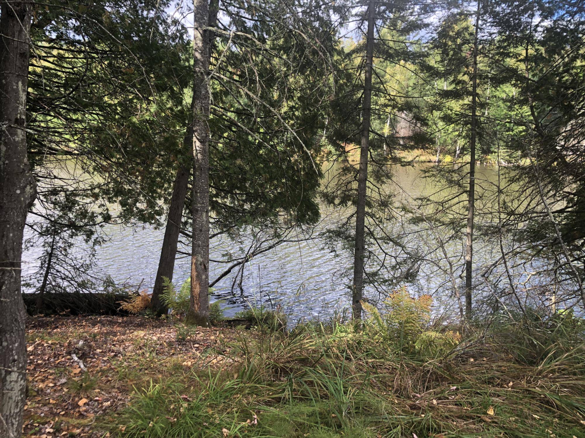Eagle River, WI 54521,ON CLOVERLAND DR #150' Wide
