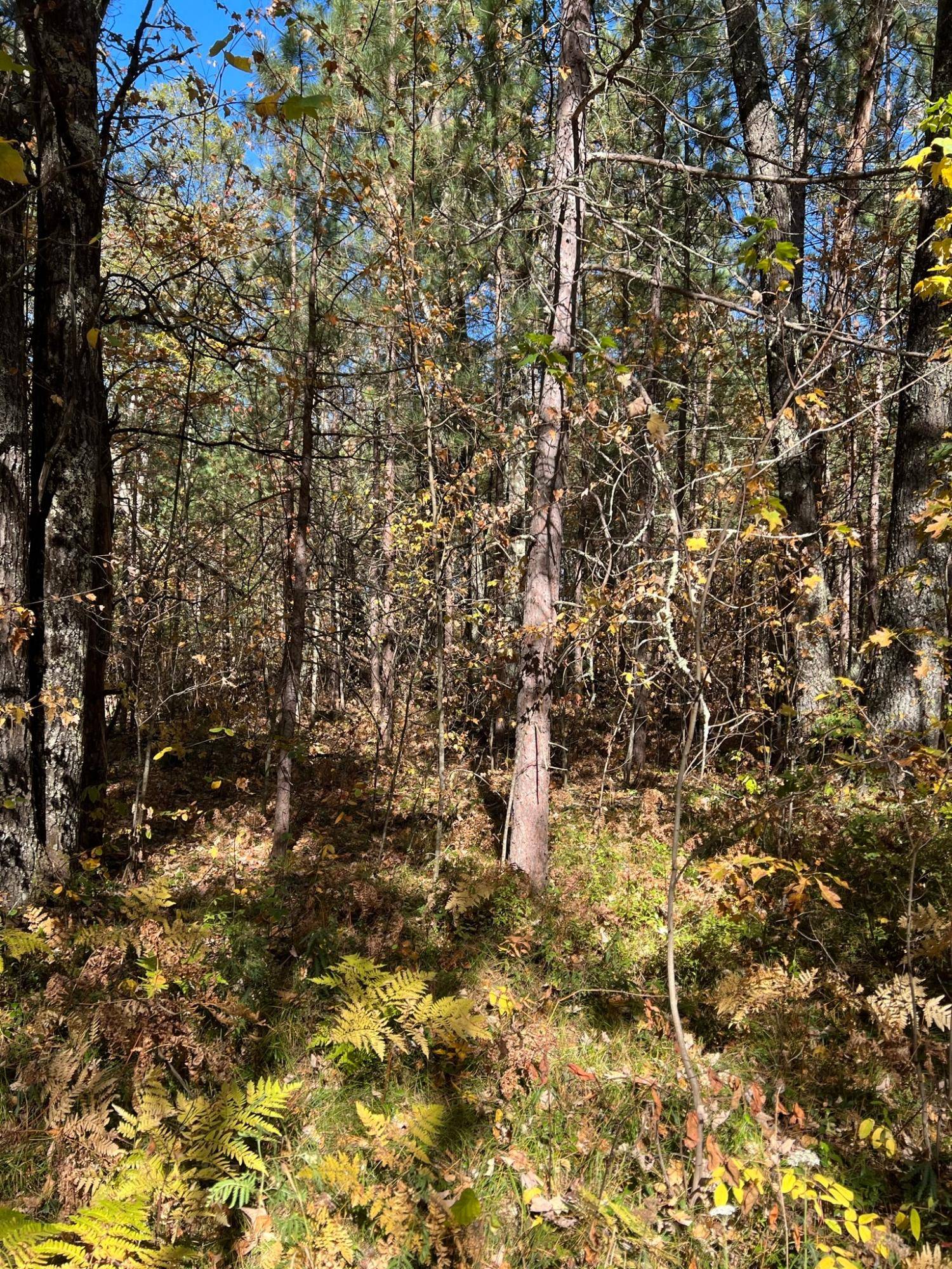 Lac Du Flambeau, WI 54538,Off HASKELL HEIGHTS DR #Lot 4