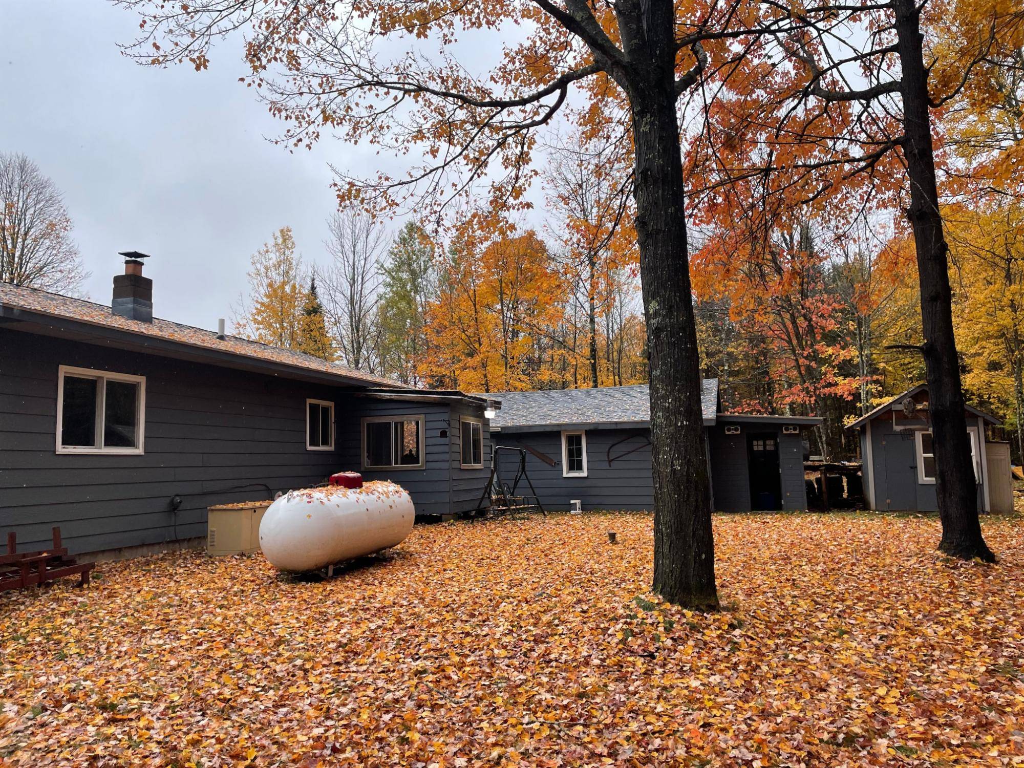 Butternut, WI 54514,2989N CTH FF