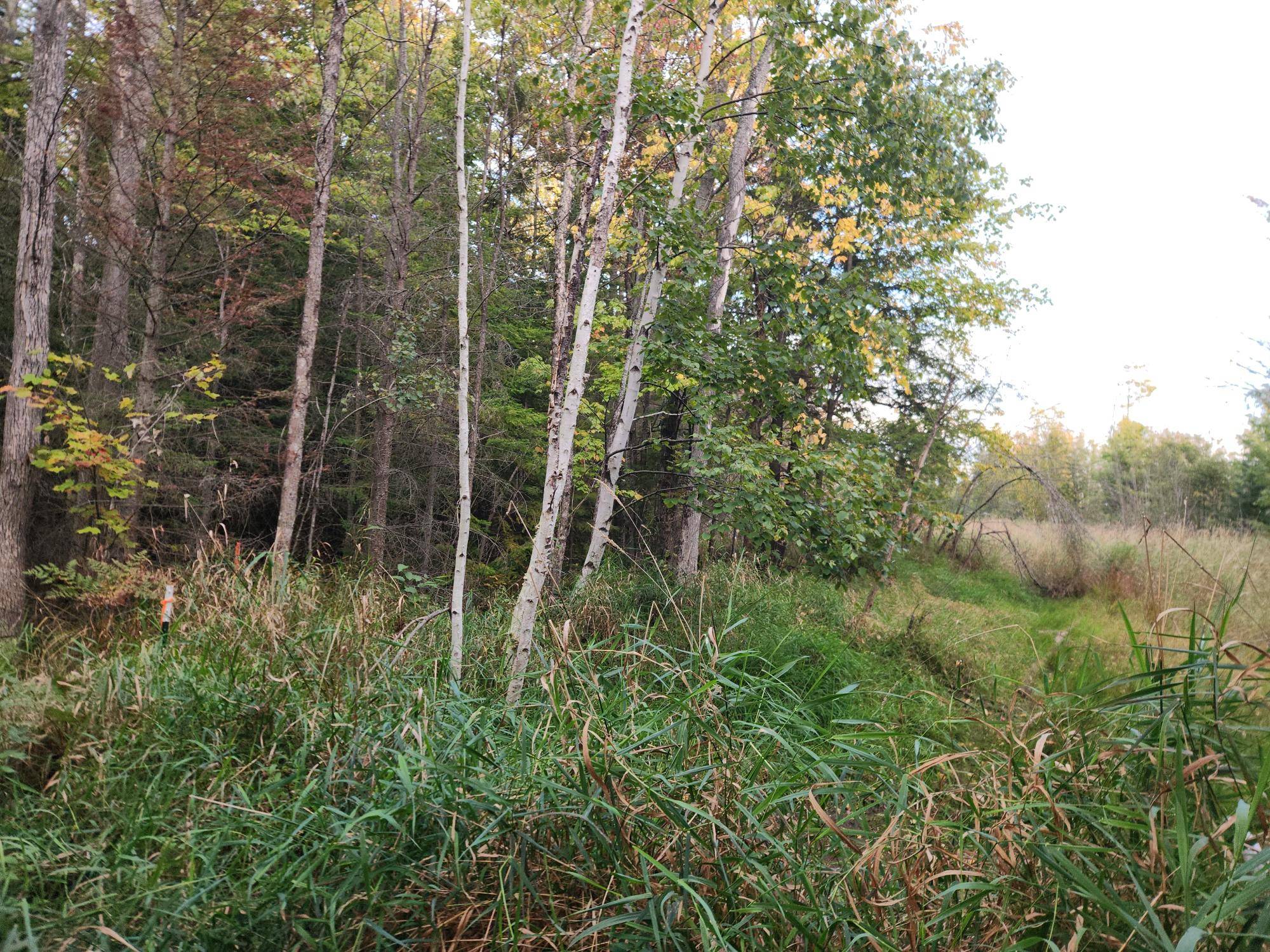 MI 49953,40AC OFF NOBLE RD