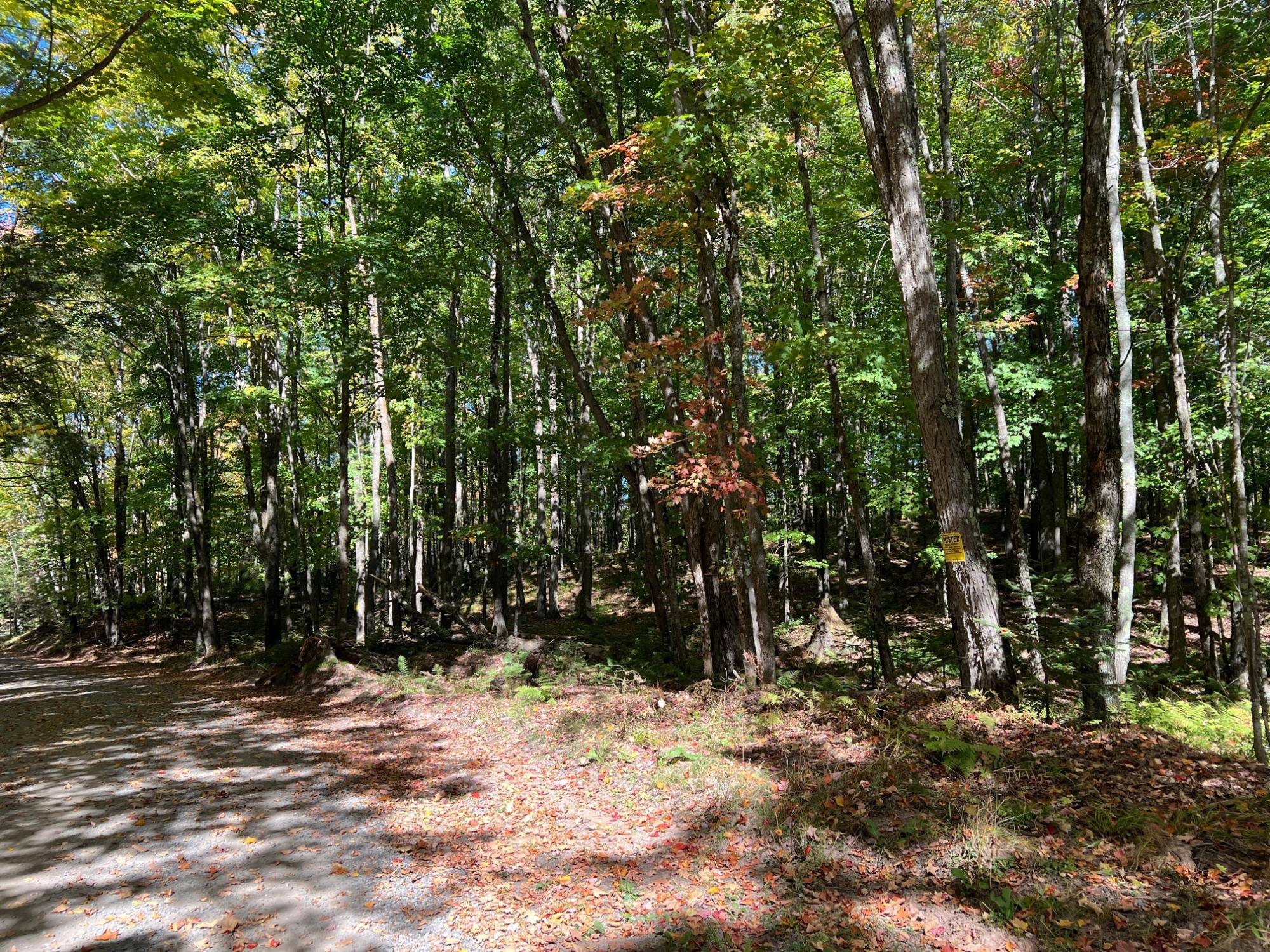 Watersmeet, MI 49969,ON OTTER LN #Lot 2