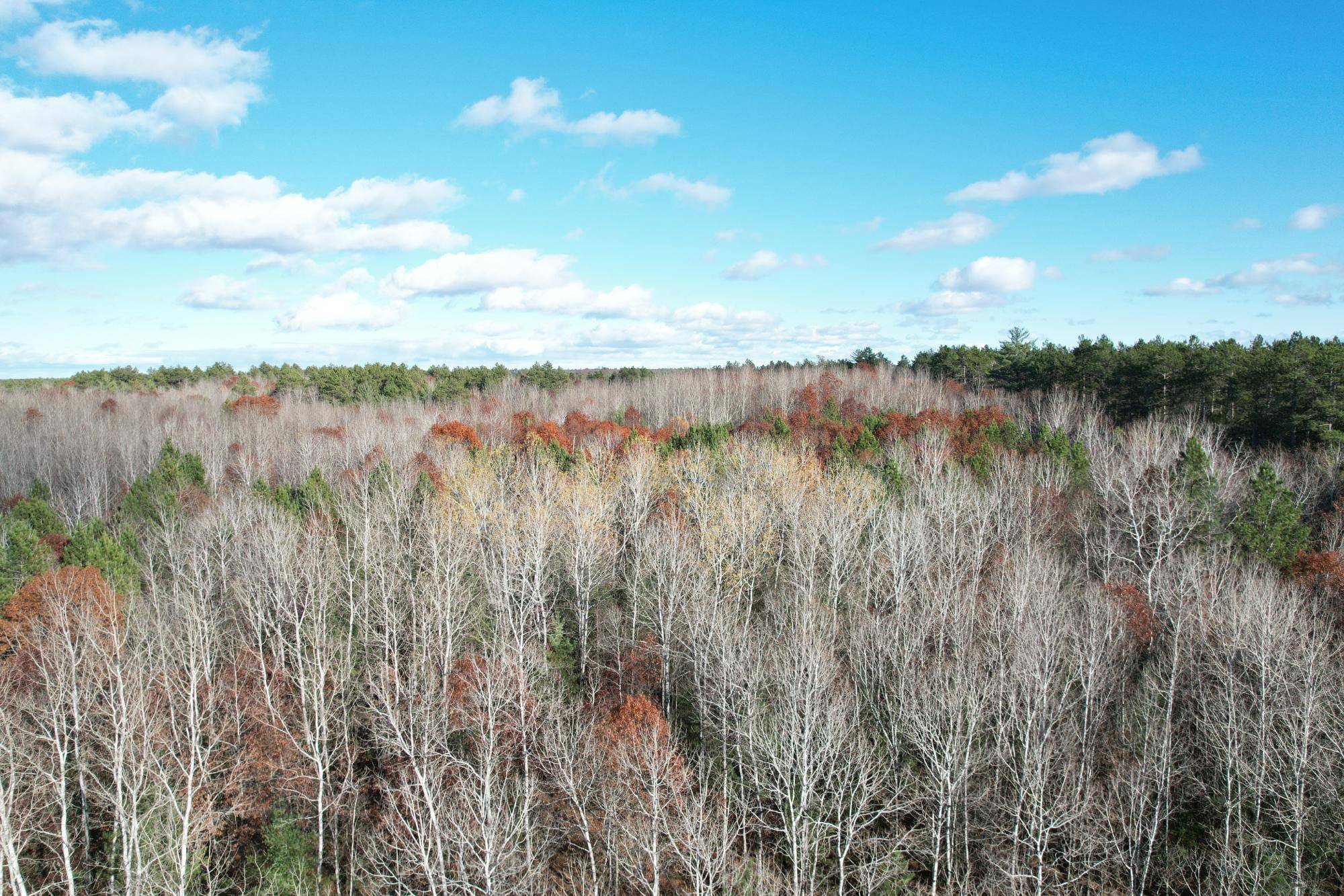 Plum Lake, WI 54560,12.51 AC STAR LAKE RD