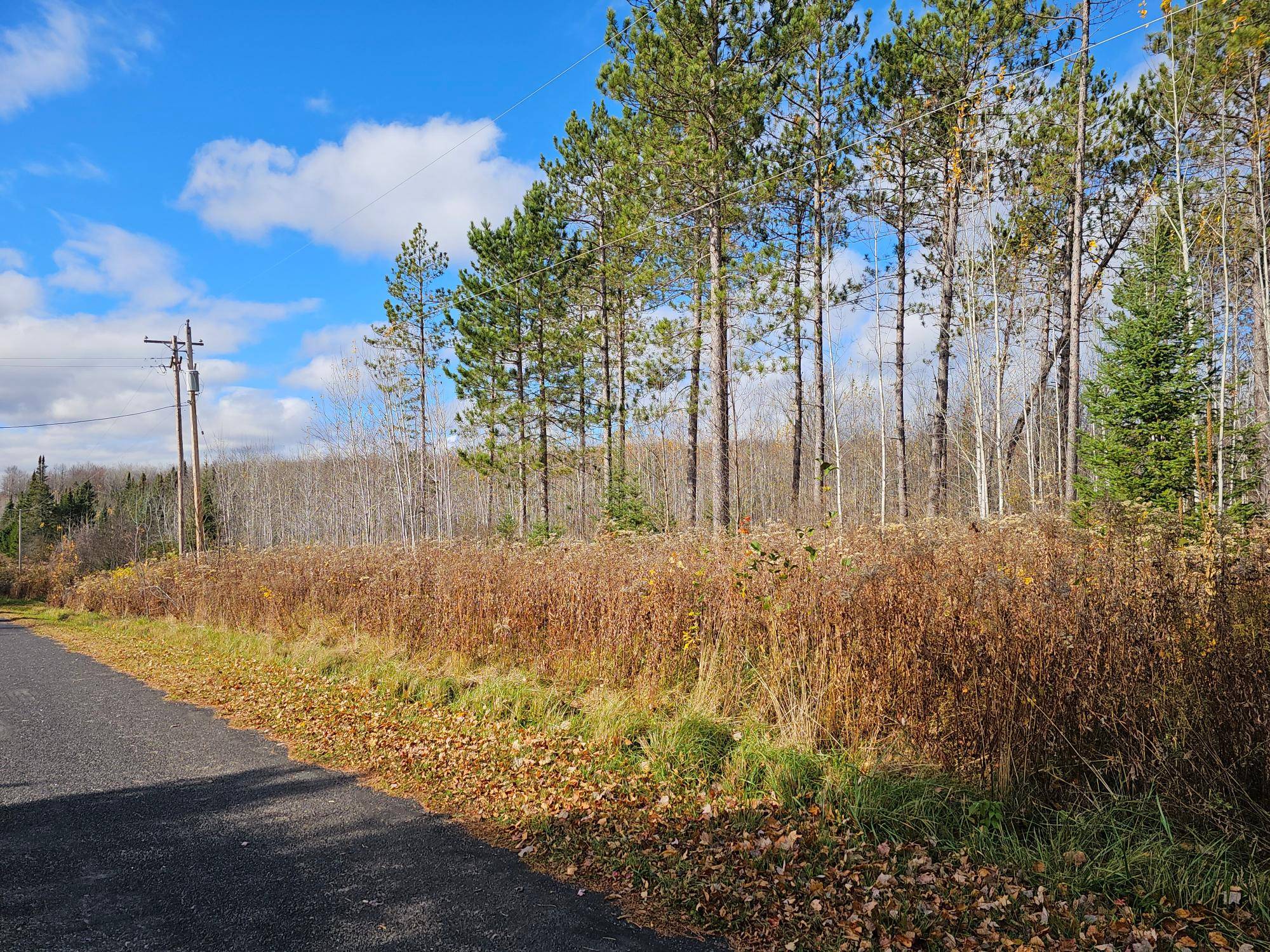 Iron River, MI 49935,ON CATALDO DR