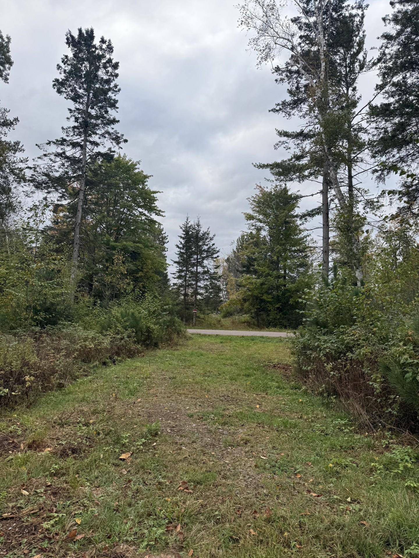 Tomahawk, WI 54487,3 ACRES PINE SHORE LN #Lot 4