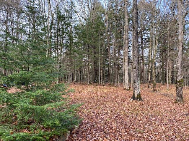 Presque Isle, WI 54557,Lot #9 YELLOW BIRCH RD