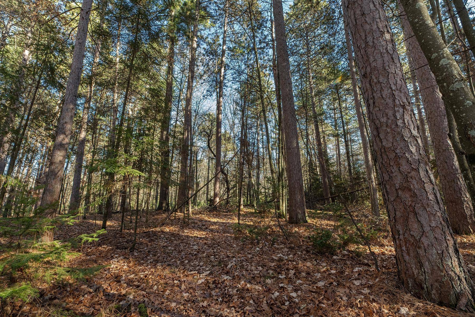 Tomahawk, WI 54487,Lot 18 THE POINT RD W