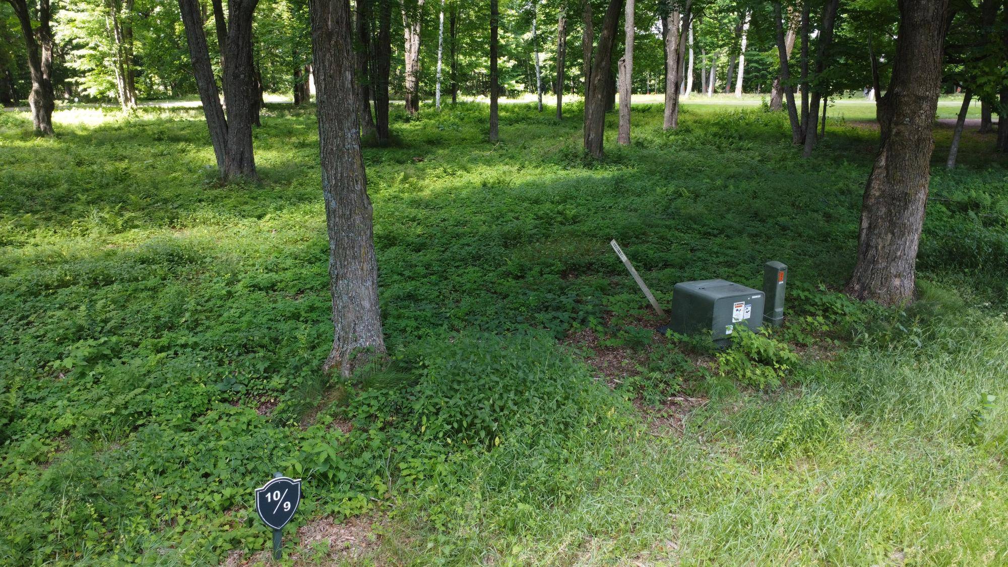 Antigo, WI 54409,Lot 9 ACKLEY LANDING