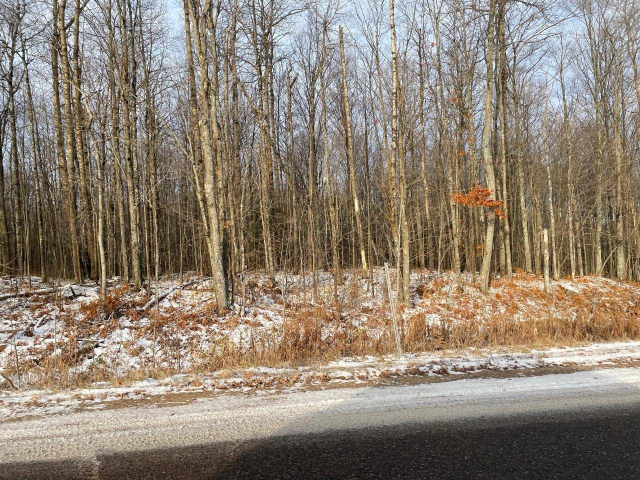 Rhinelander, WI 54501,21.47 Ac GERMOND RD