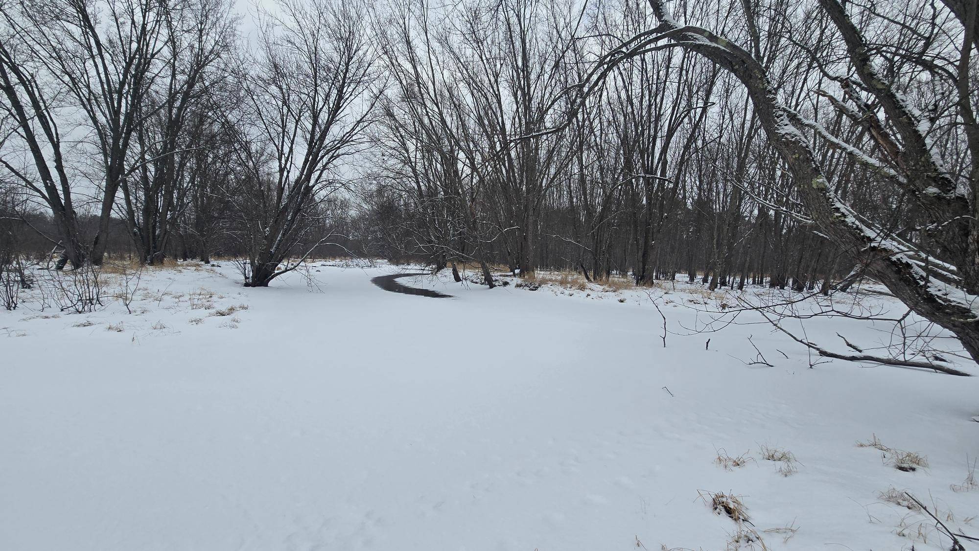 Rhinelander, WI 54501,ON HWY 8 #37 Acres