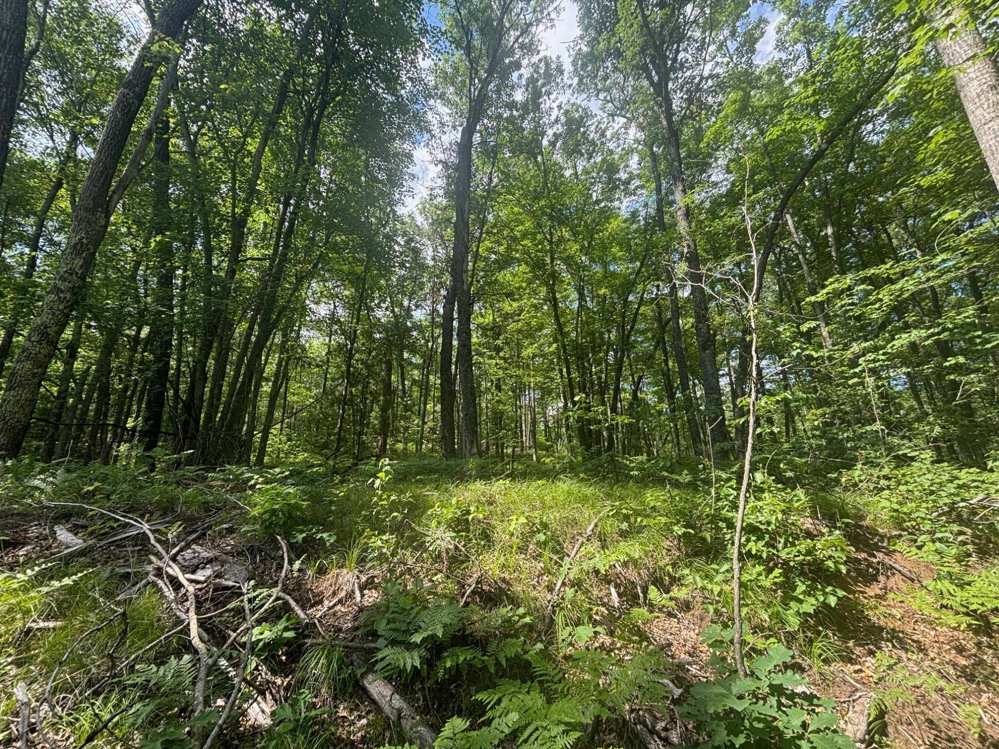 Amberg, WI 54102,OFF BENNETT RD