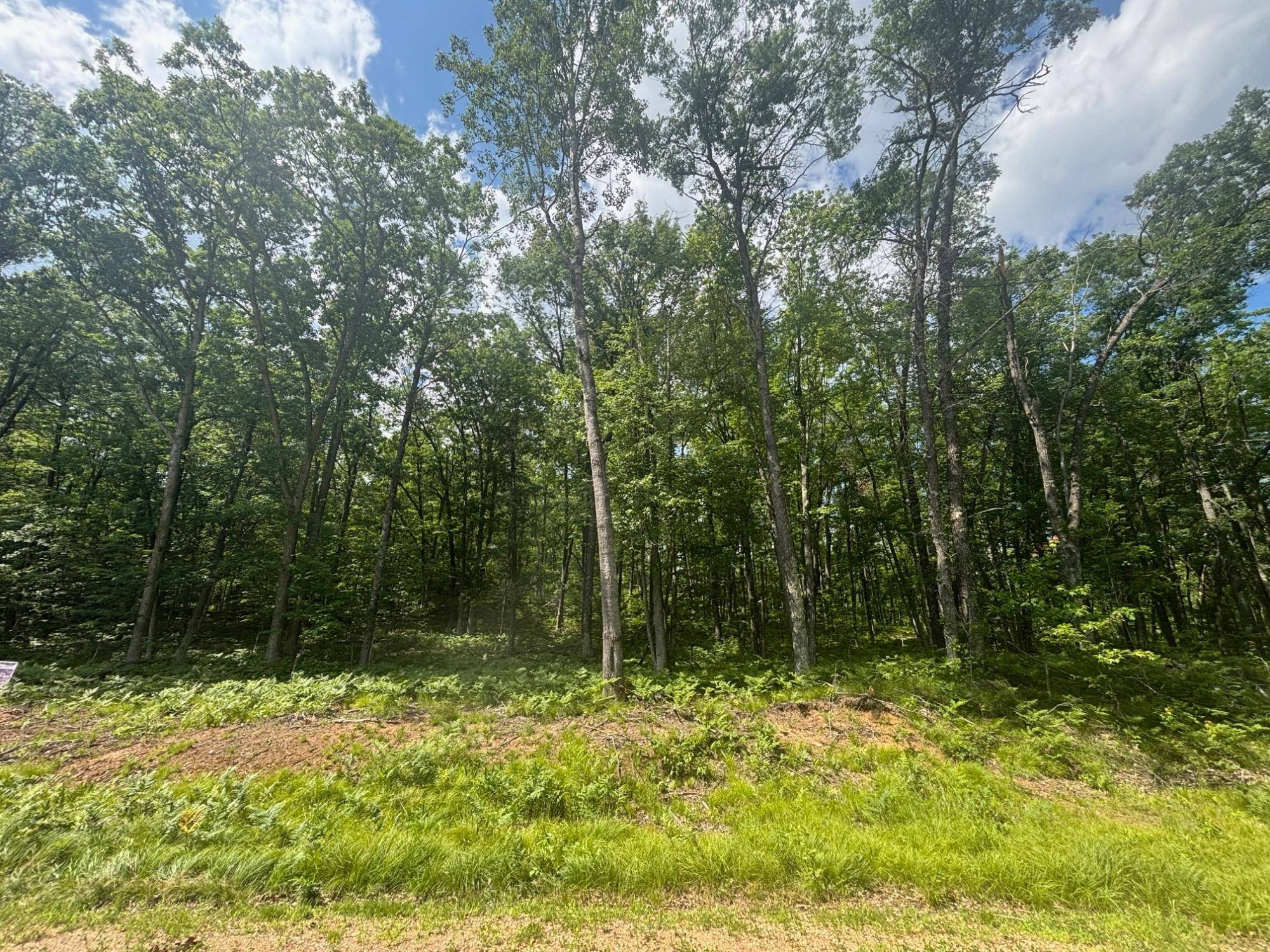 Amberg, WI 54102,OFF BENNETT RD
