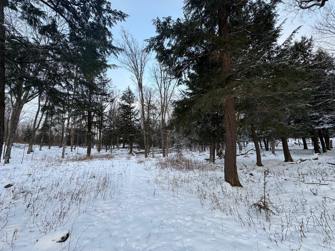 Mercer, WI 54547,1 CSM457 FISHER LAKE RD E