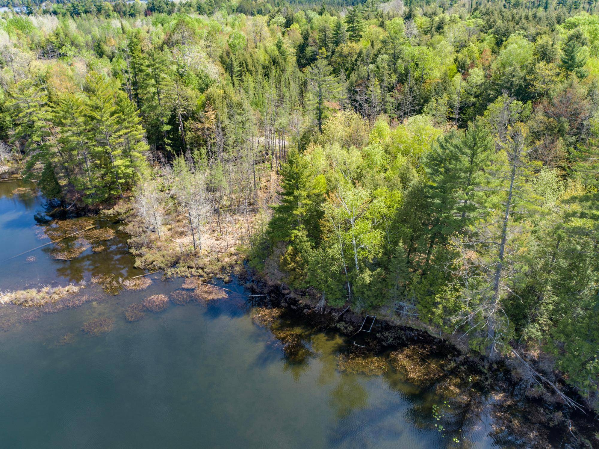 Lac Du Flambeau, WI 54538,ON MUSKESIN LN E #1.9 Ac.