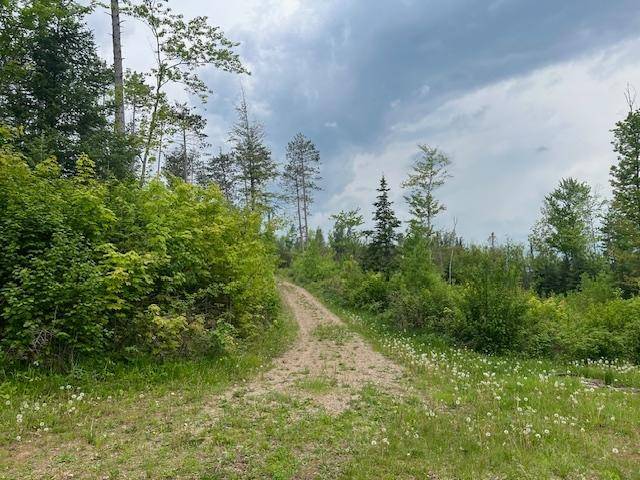 Pearson, WI 54462,N9599 GOOSE ISLAND RD W