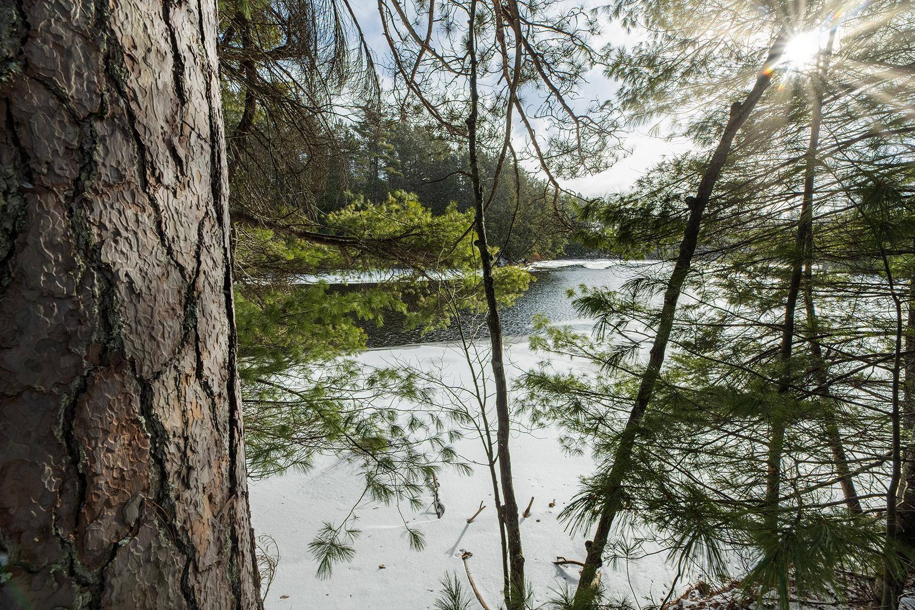 Three Lakes, WI 54562,Lot 4 DAM RD