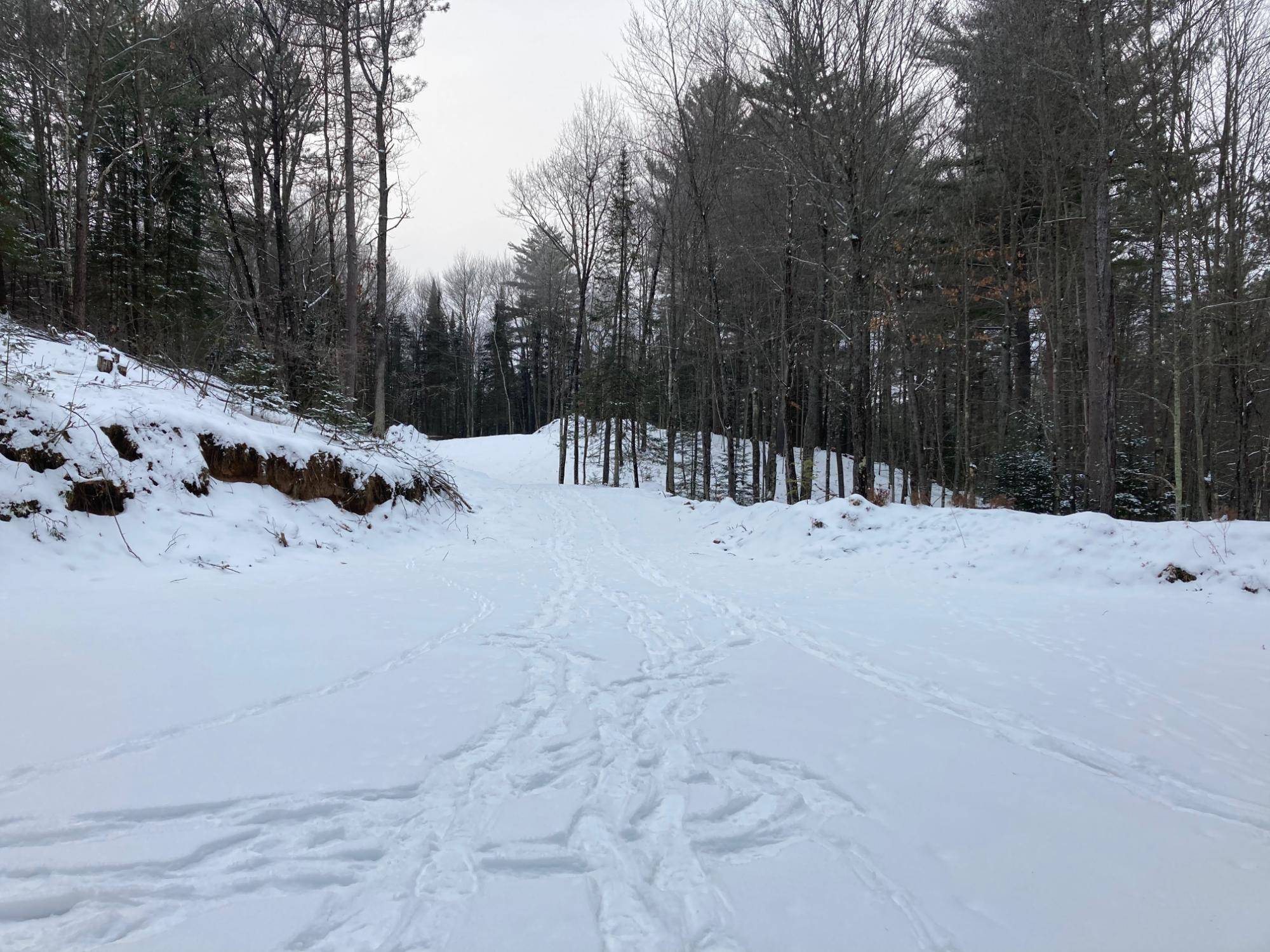 Harshaw, WI 54529,3827 HARSHAW RD