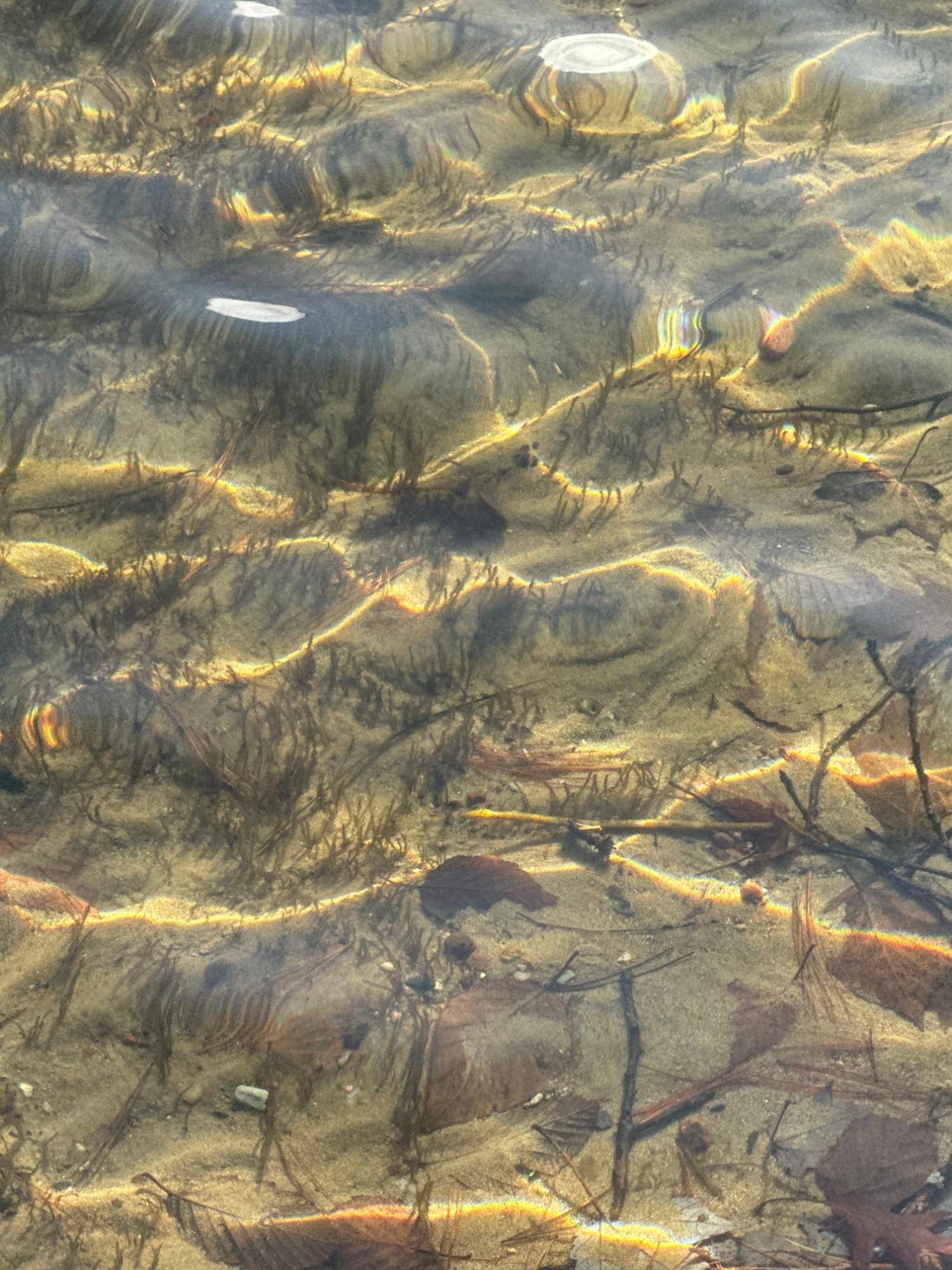 Eagle River, WI 54521,Off SHANGRI LA RD