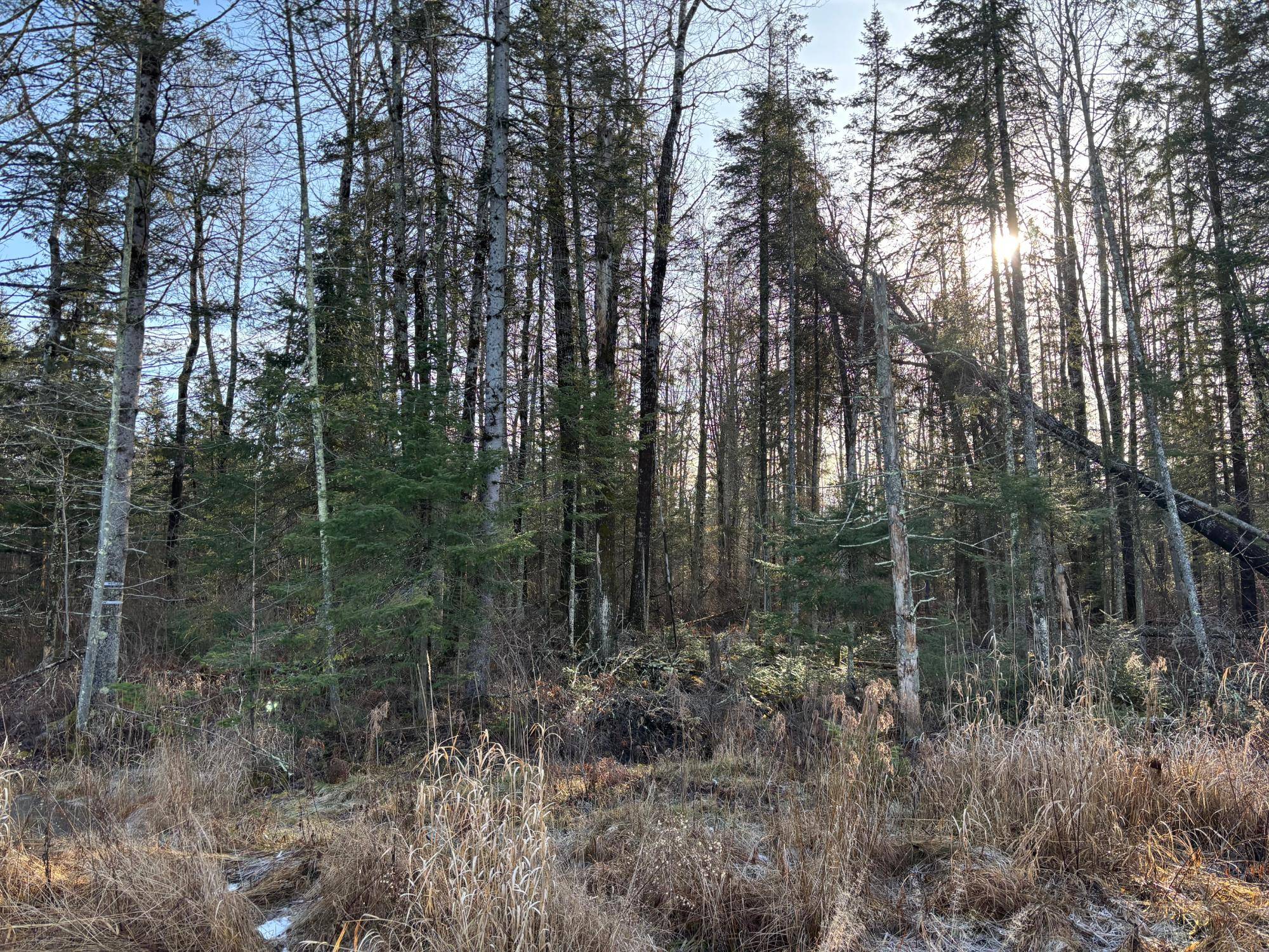 Merrill, WI 54452,0 BLACK ALDER DR #0