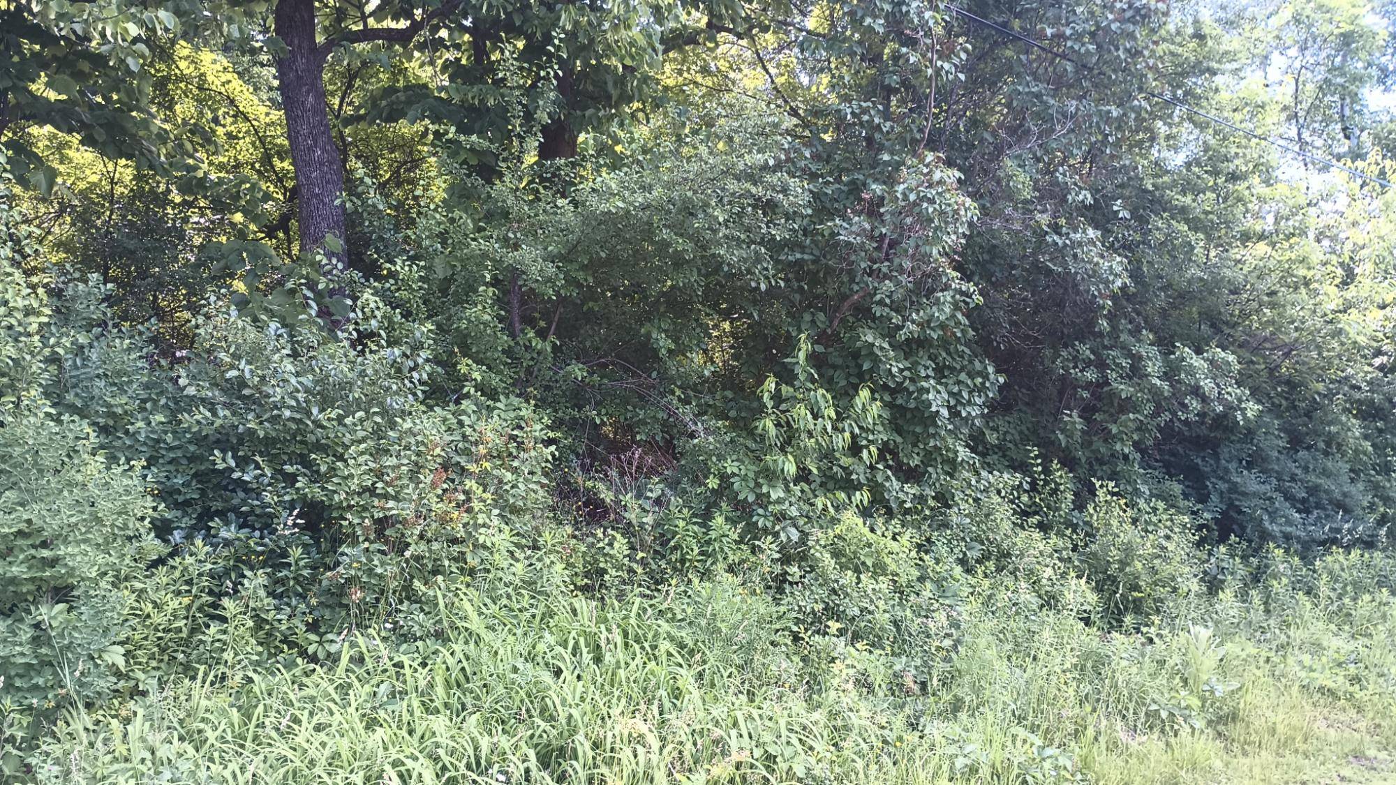Ironwood, MI 49938,200 LIME ST E
