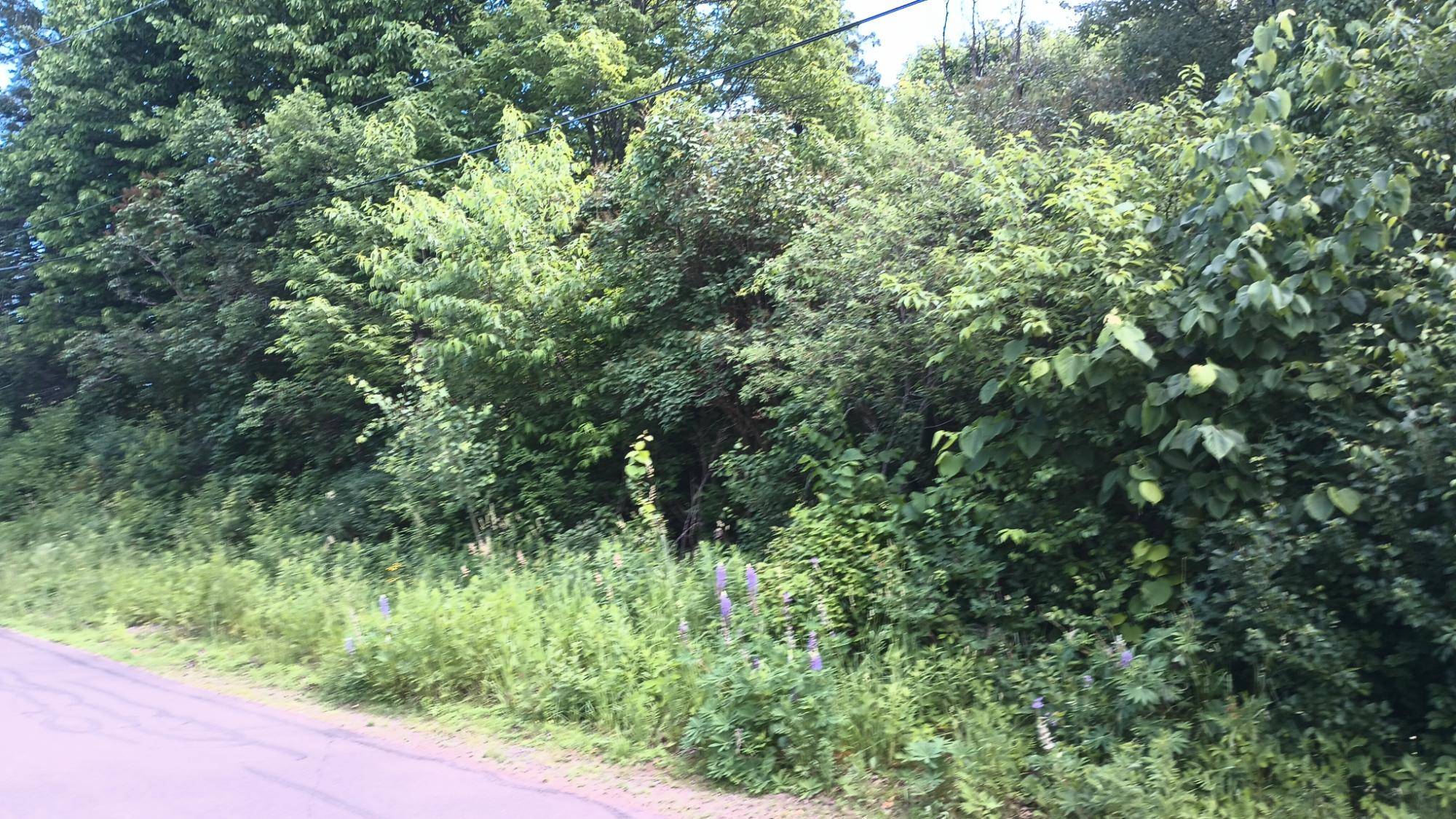 Ironwood, MI 49938,200 LIME ST E