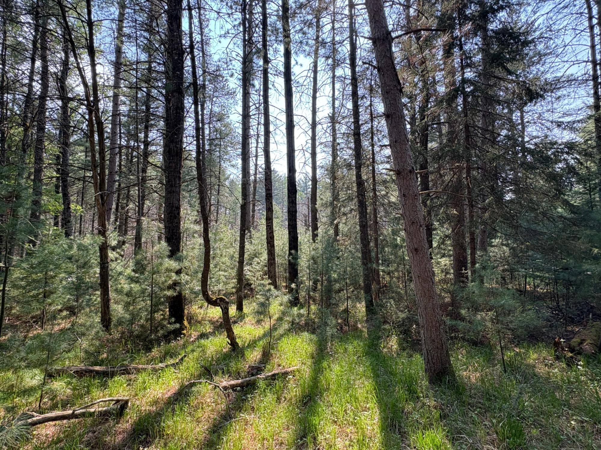 St Germain, WI 54558,Lot on MELODY DR