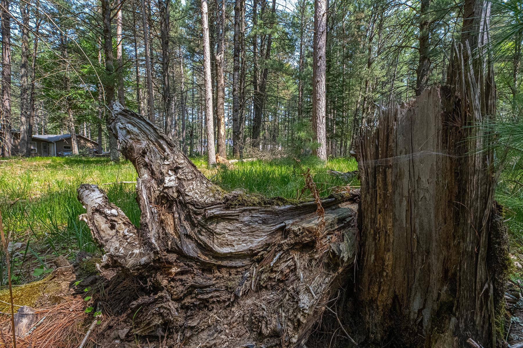 St Germain, WI 54558,Off HOLIDAY DRIVE E