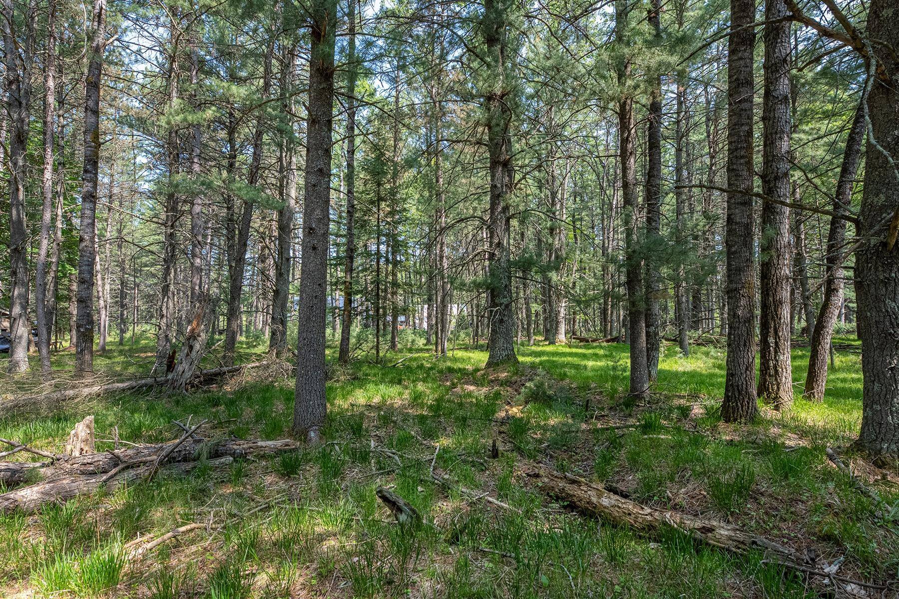 St Germain, WI 54558,Off HOLIDAY DRIVE E