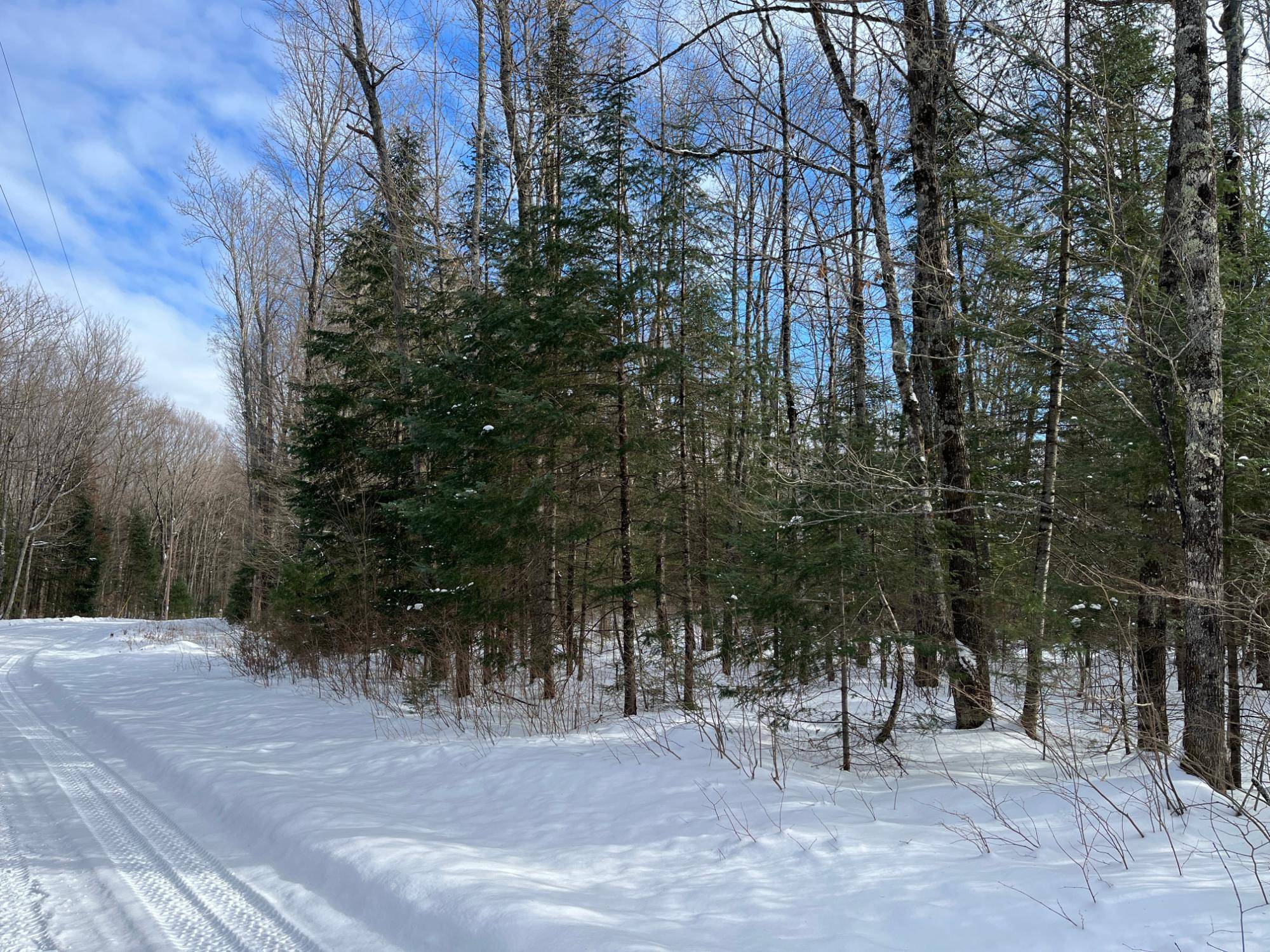 WI 54552,ON BEARSKULL RD